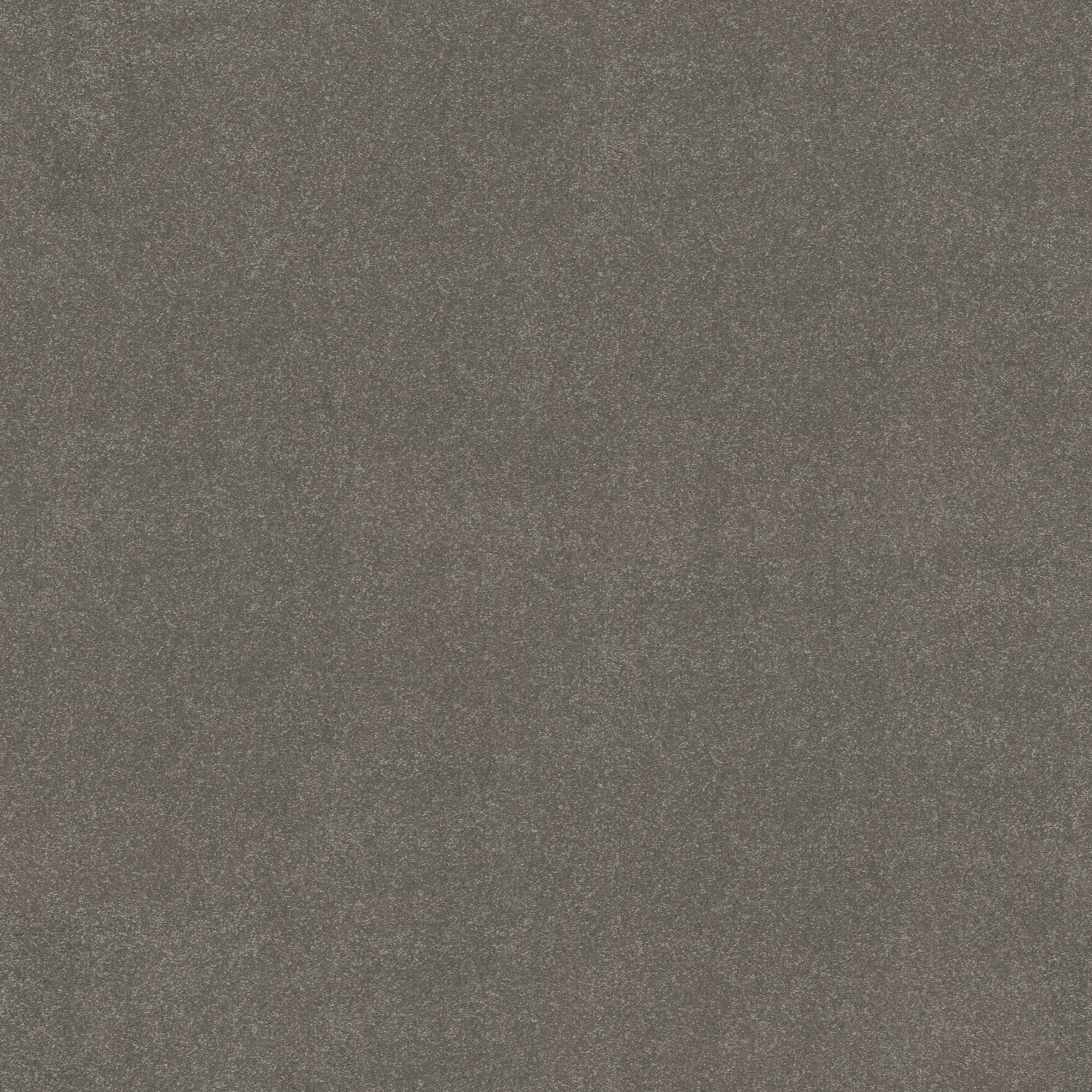 AWAKEN SPIRIT II 12' TAUPETONE MAIN