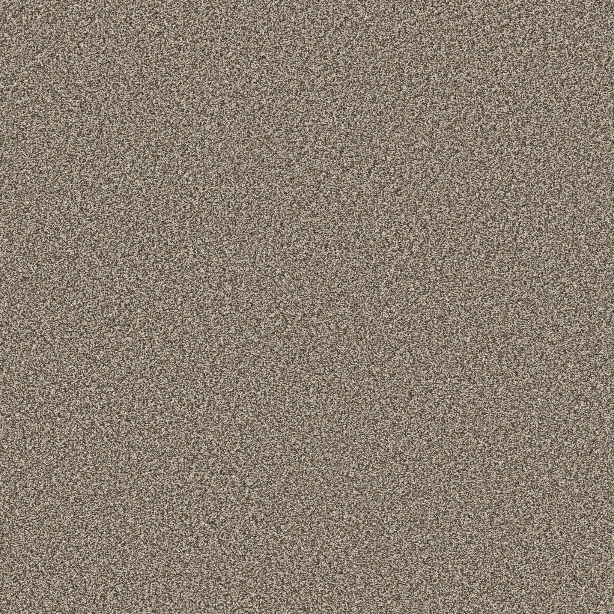 NEW ATTITUDE PECAN SANDIE MAIN