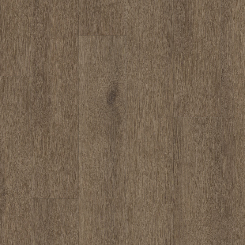 NATURAL BEGINNINGS SPC in Autumn Brown by Shaw Floors