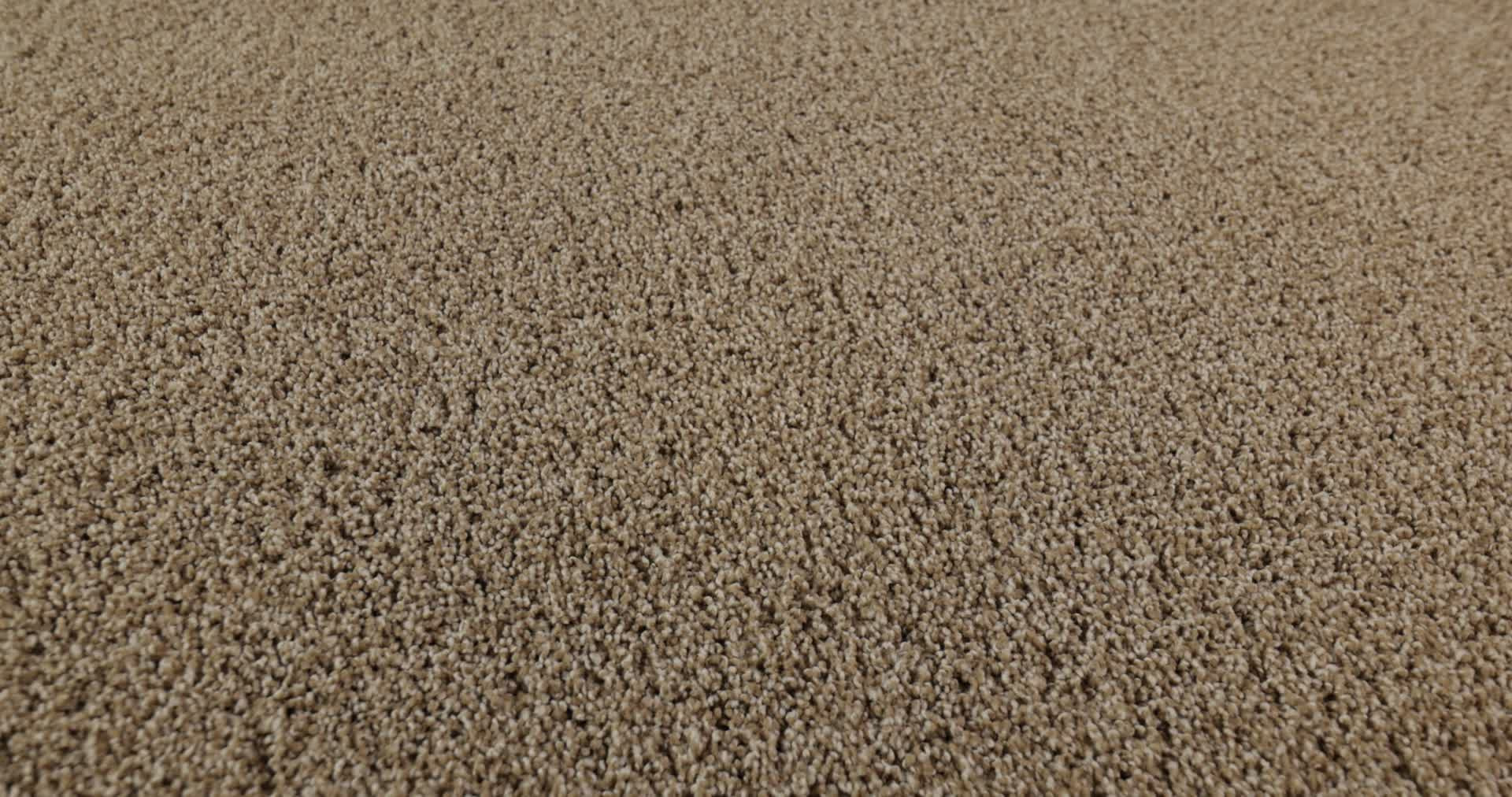 ACADIA PARK SERENGETI 360PROD