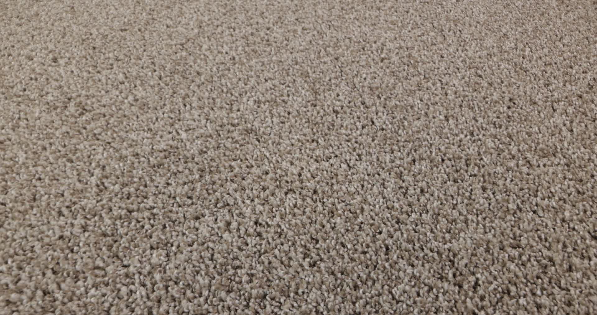 SOFT EFFERVESCENCE DAYTONA SAND 360PROD