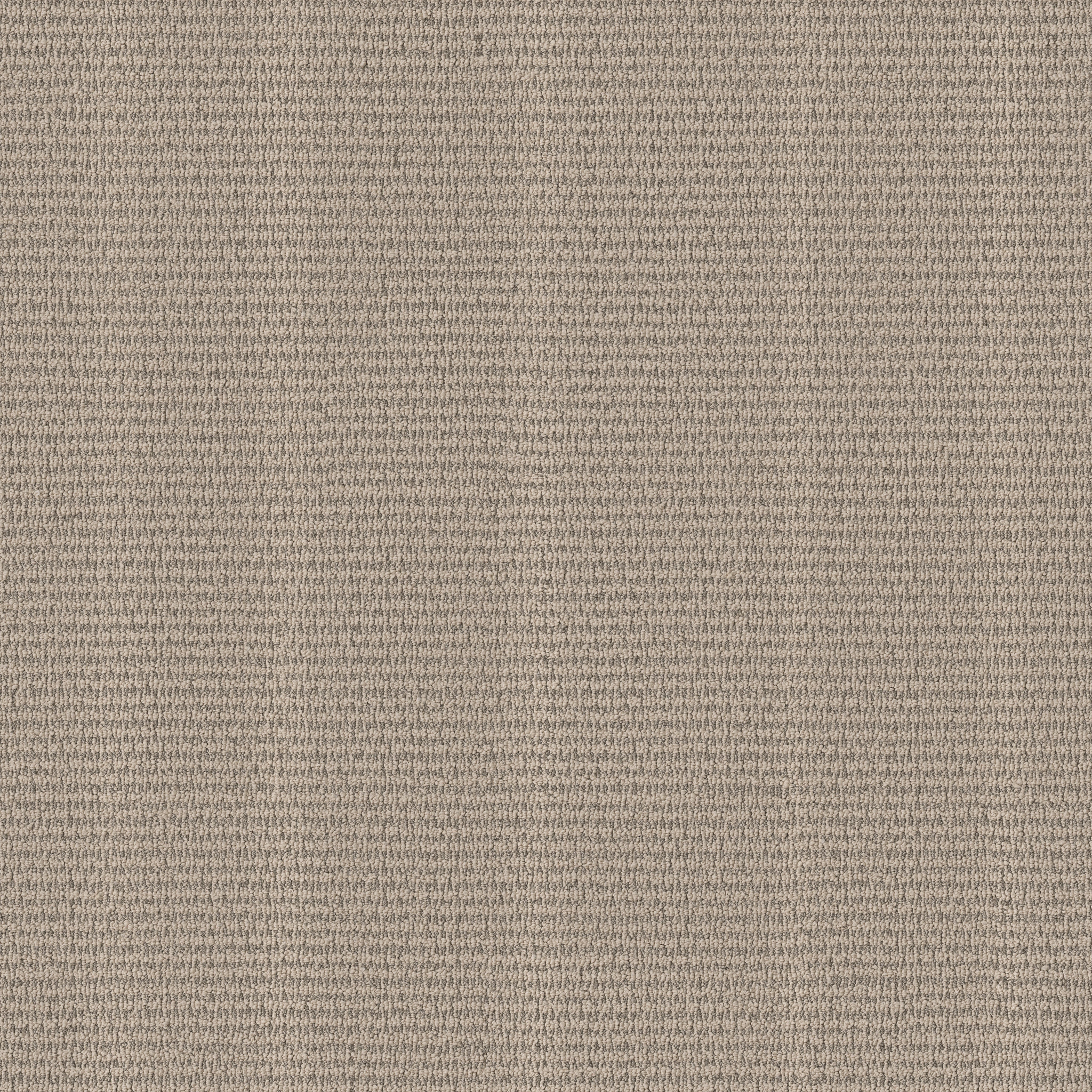 LAINE DRIFTWOOD MAIN