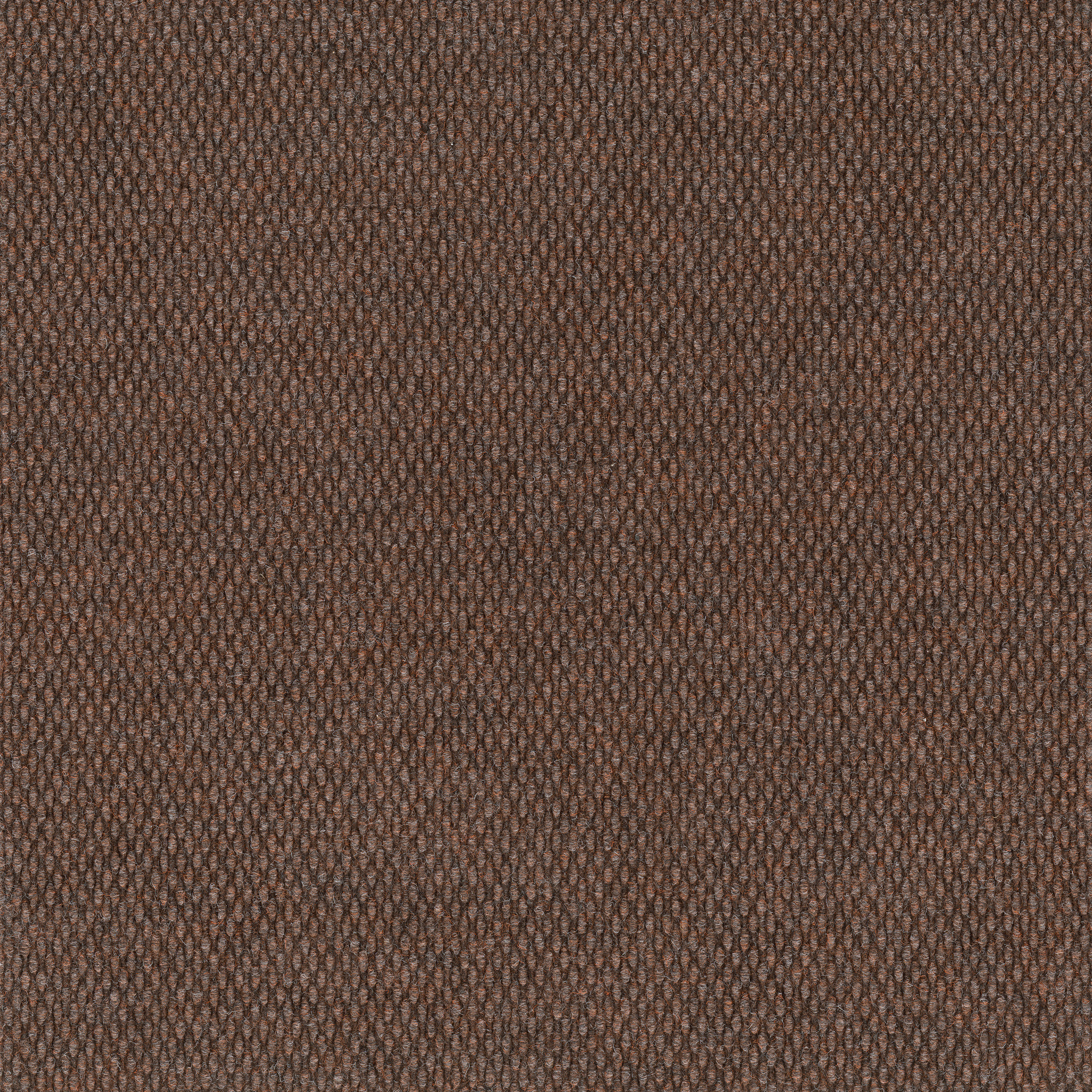 COMMONS-II-54693-RUSTY-NAIL-00600-main-image