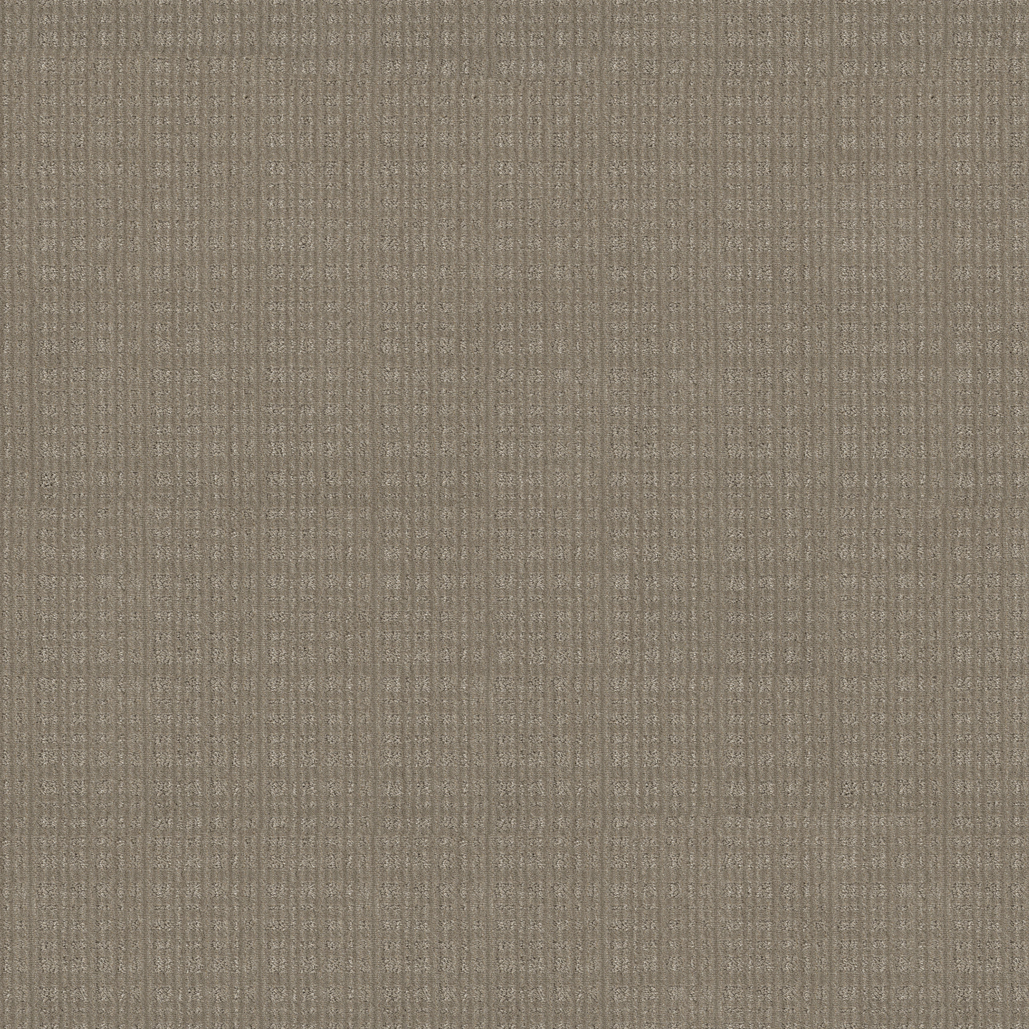 PURRSUASION FAVORITE TAN MAIN