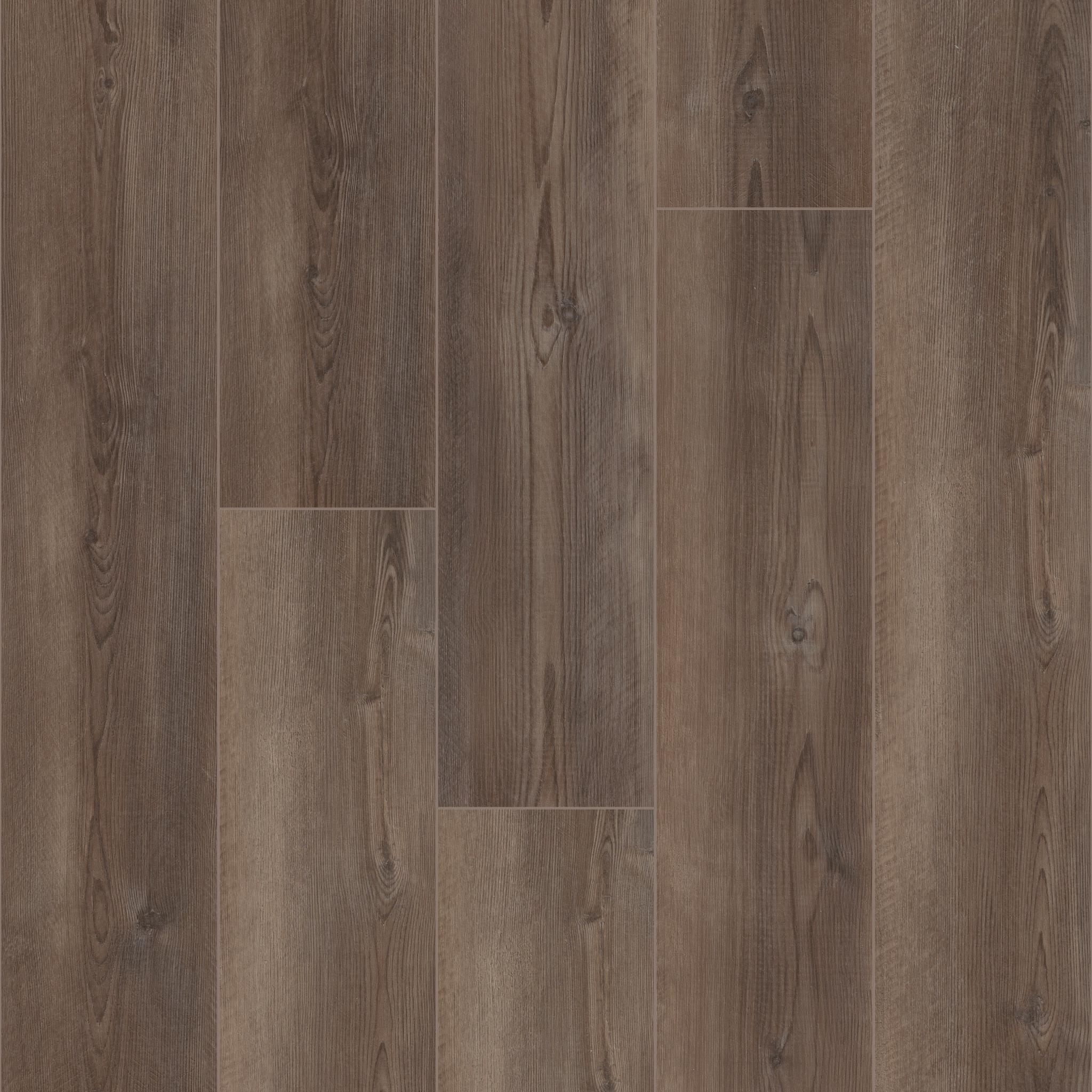 Paragon 7" Plus in Ripped Pine
