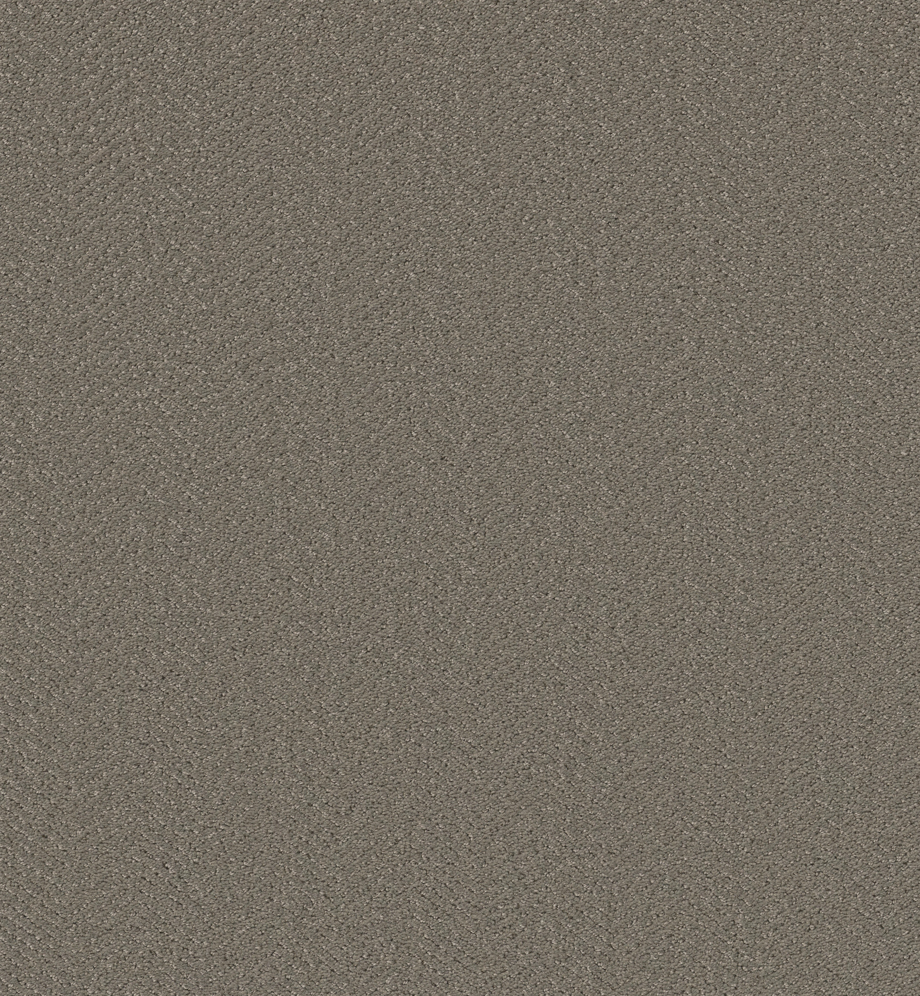 HIGHLAND TWILL FALLEN ACORN MAIN