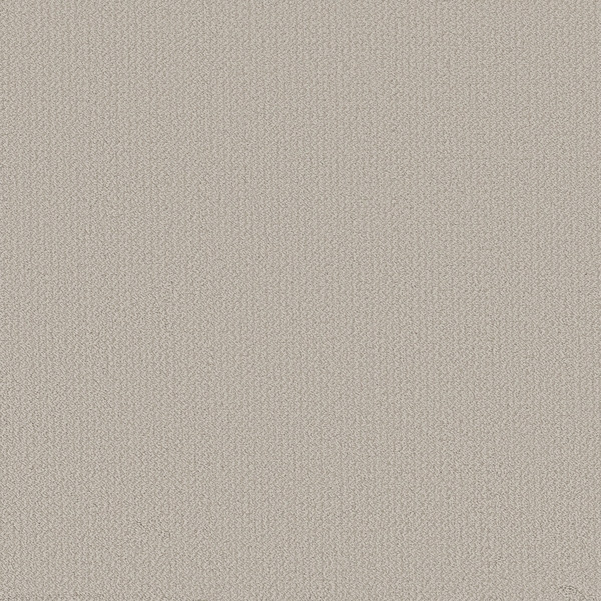 Shaw Floors FINE TAPESTRY — BALTIC STONE