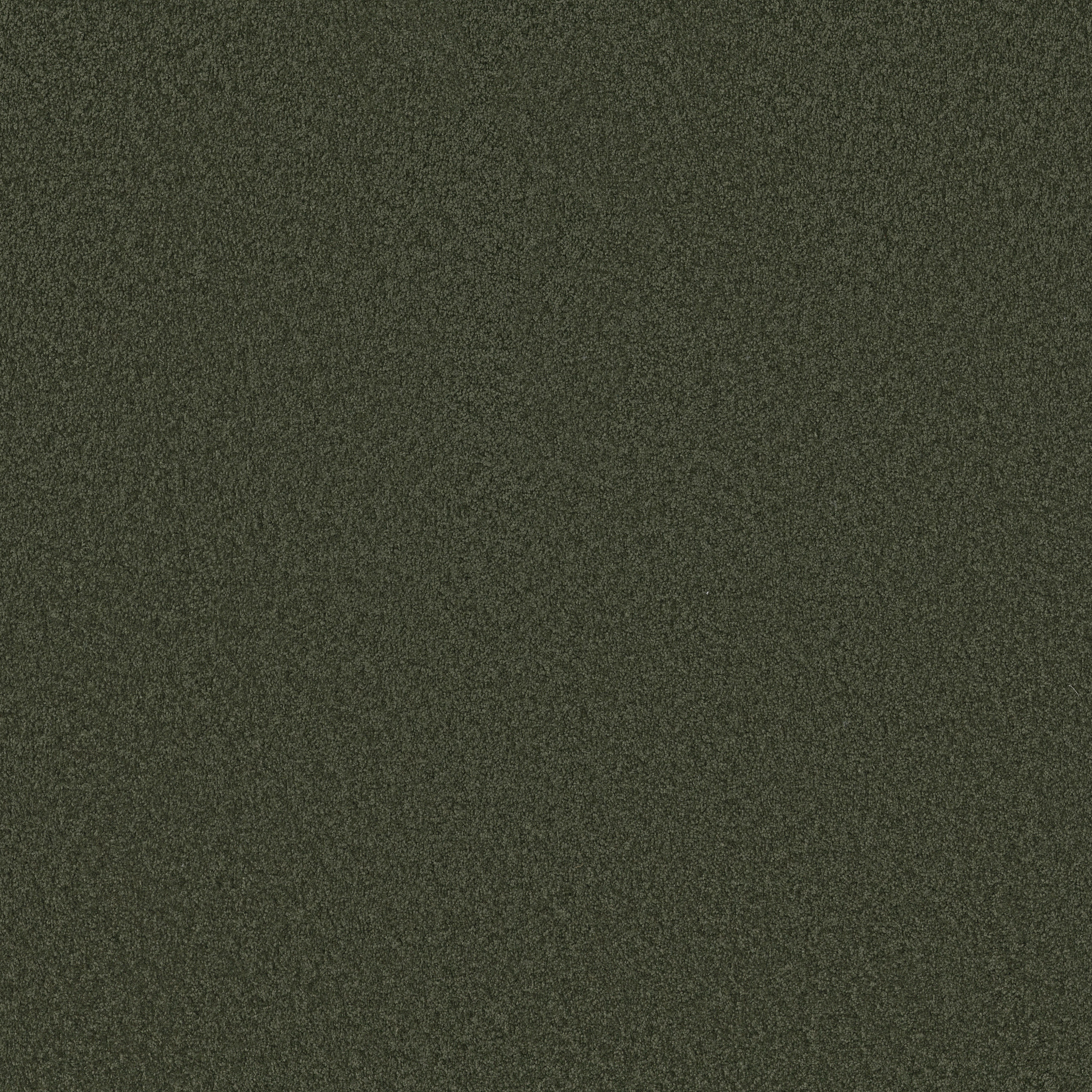 GRAND IMAGE III MAGIC EMERALD MAIN