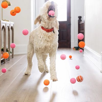 Dog playing with multiple balls on COREtec Wythe Oak vinyl flooring