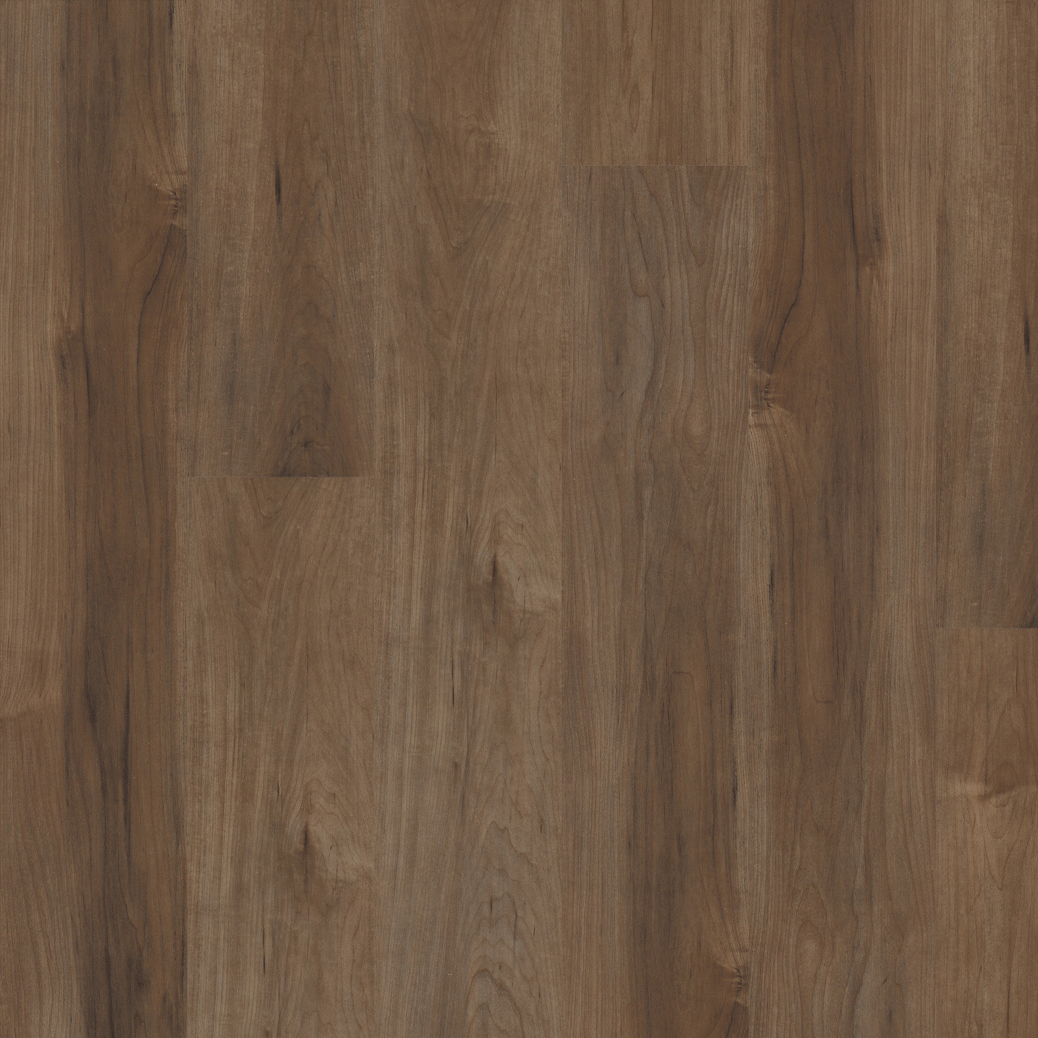 MALTESE TANNIN MAPLE MAIN