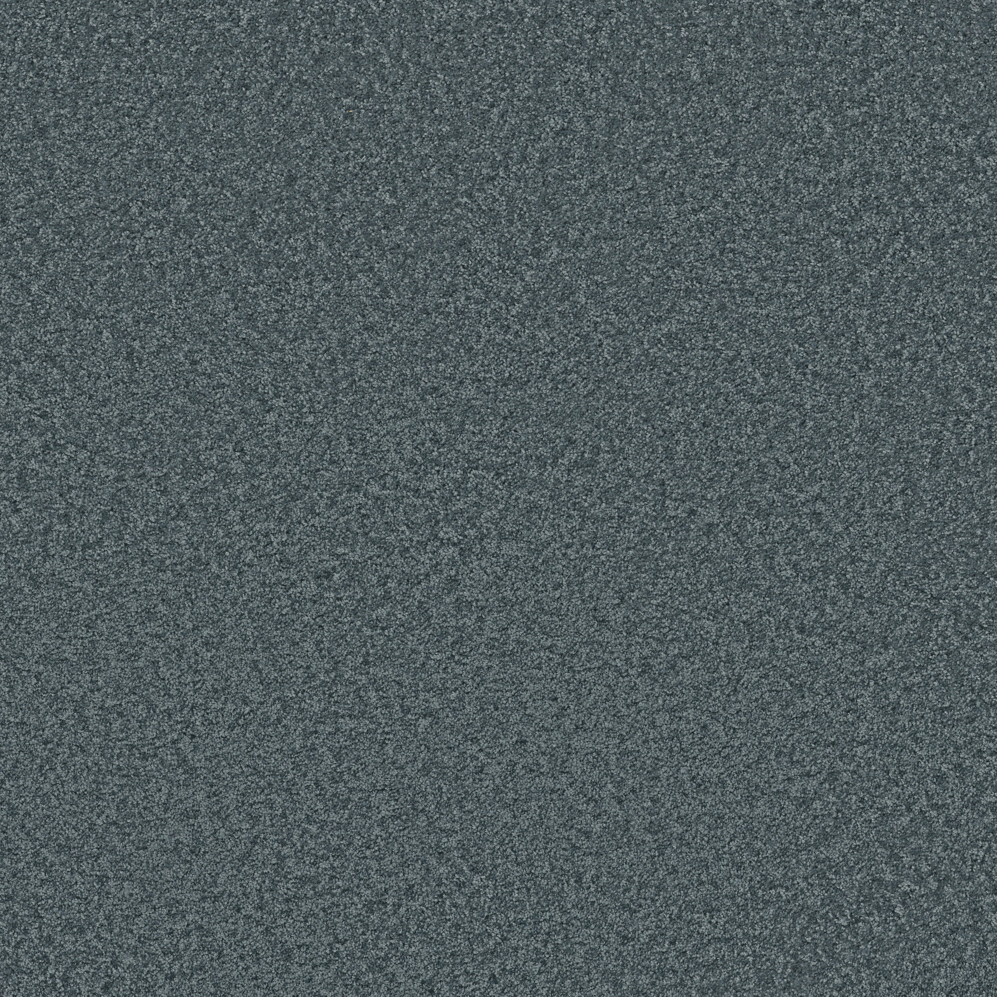 DAKOTA SPRINGS NORTH SHORE MAIN