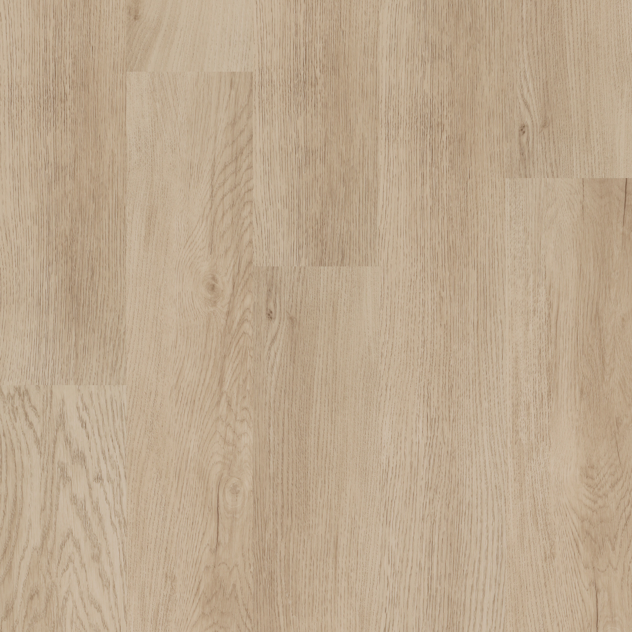 ALBA-RESERVE-20-5M329-SAND-DUNE-01169-main-image