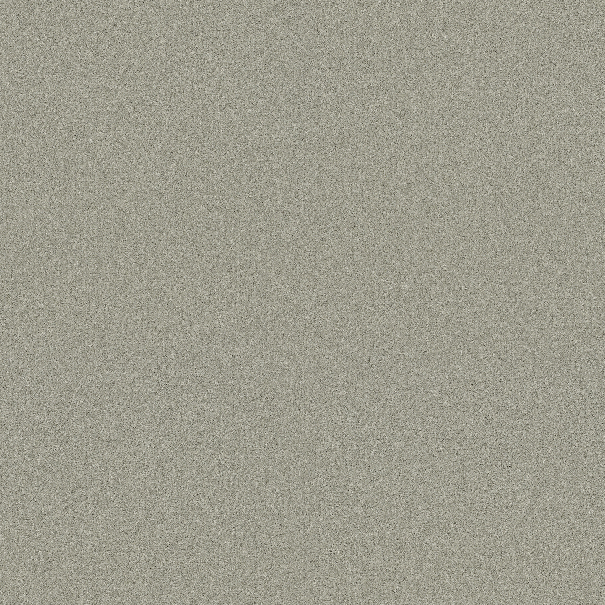 YOUR COMFORT I WILLOW TREE MAIN