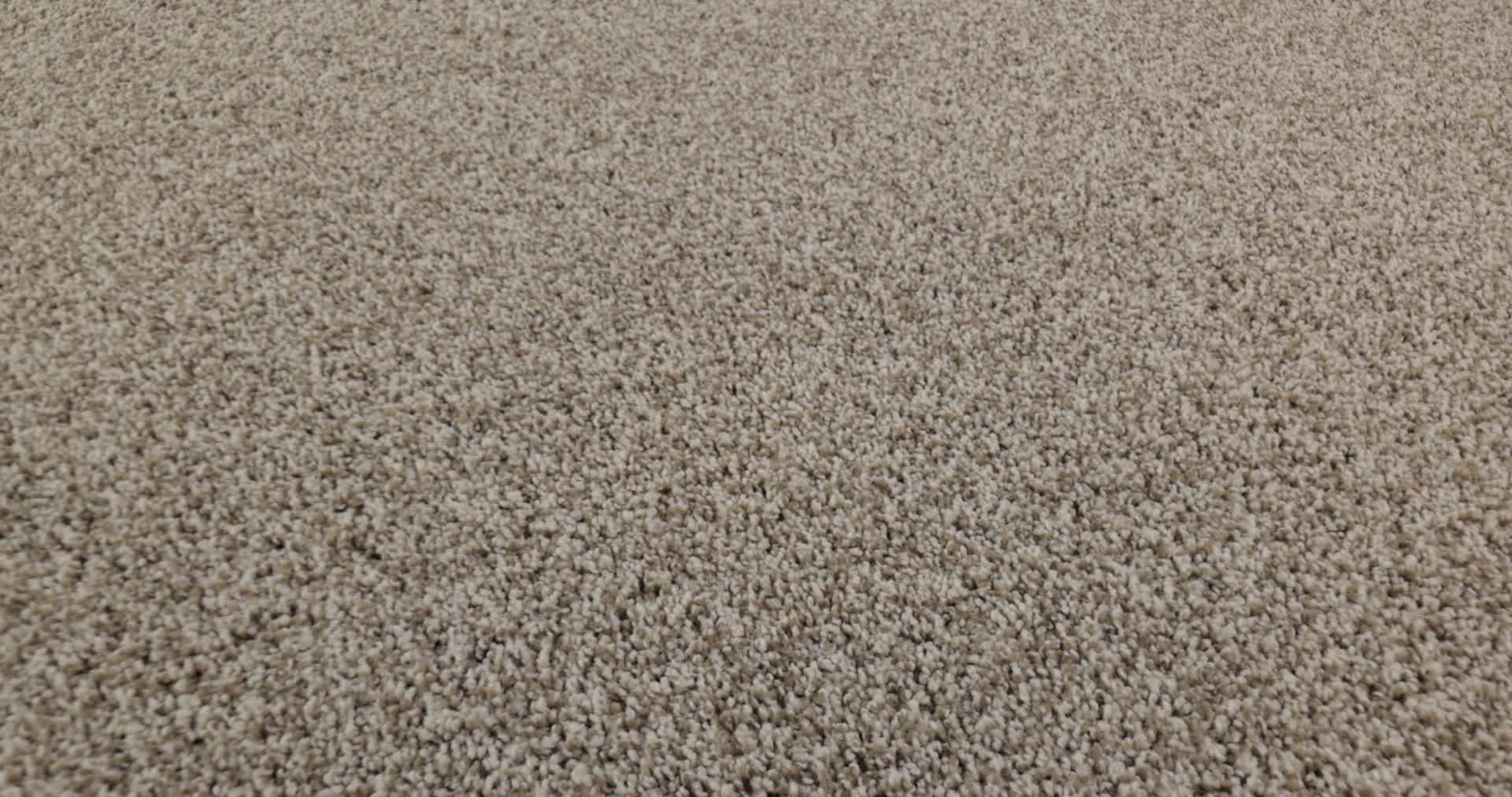 MIRA NOVA CABANA 360PROD