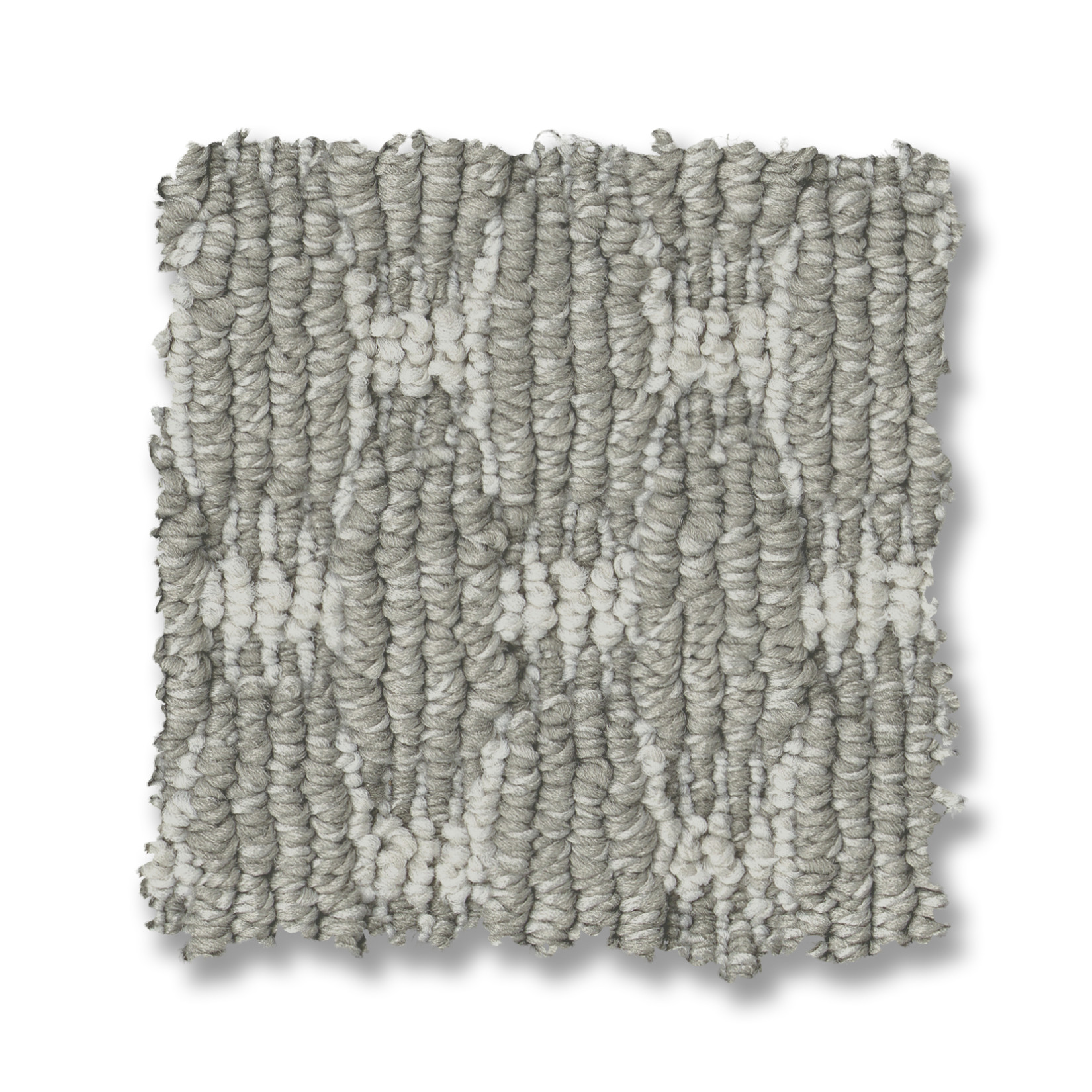 HAVENCREST TITANIUM SWATCH