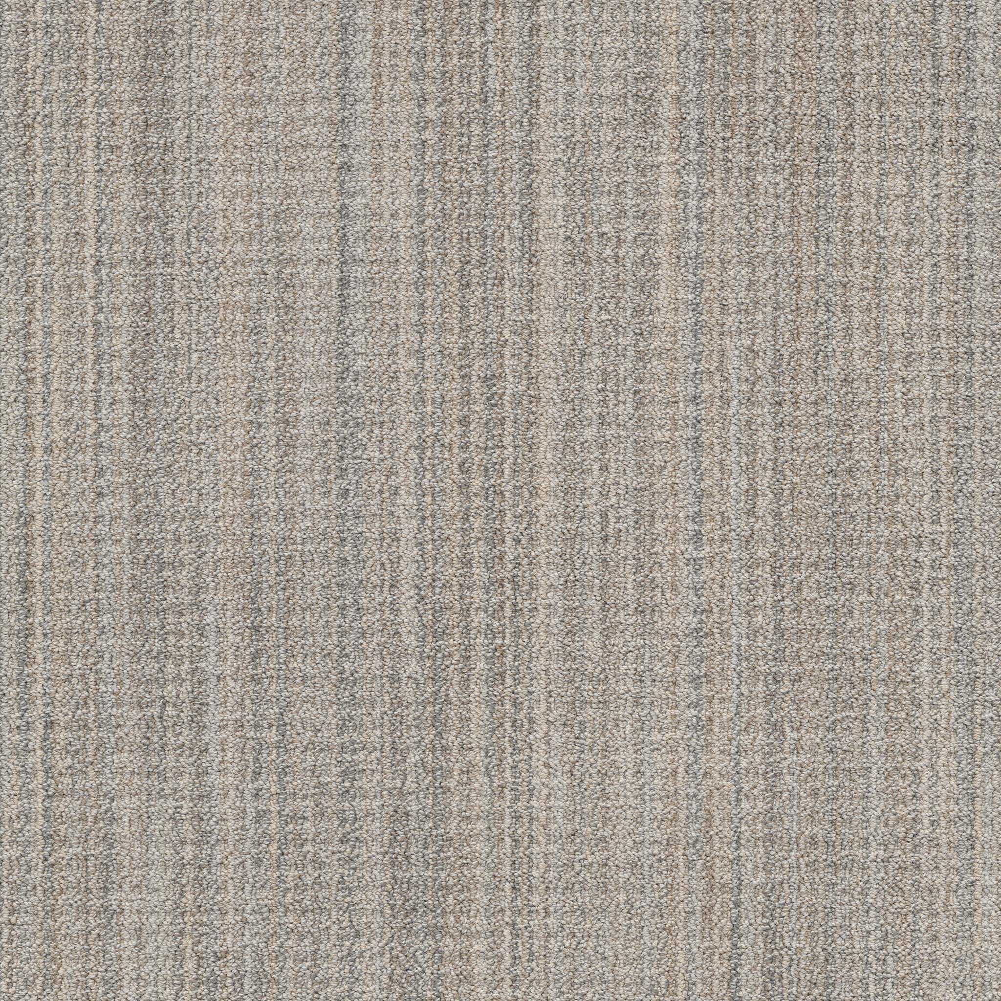 SUNDANCE MODERN IVORY MAIN