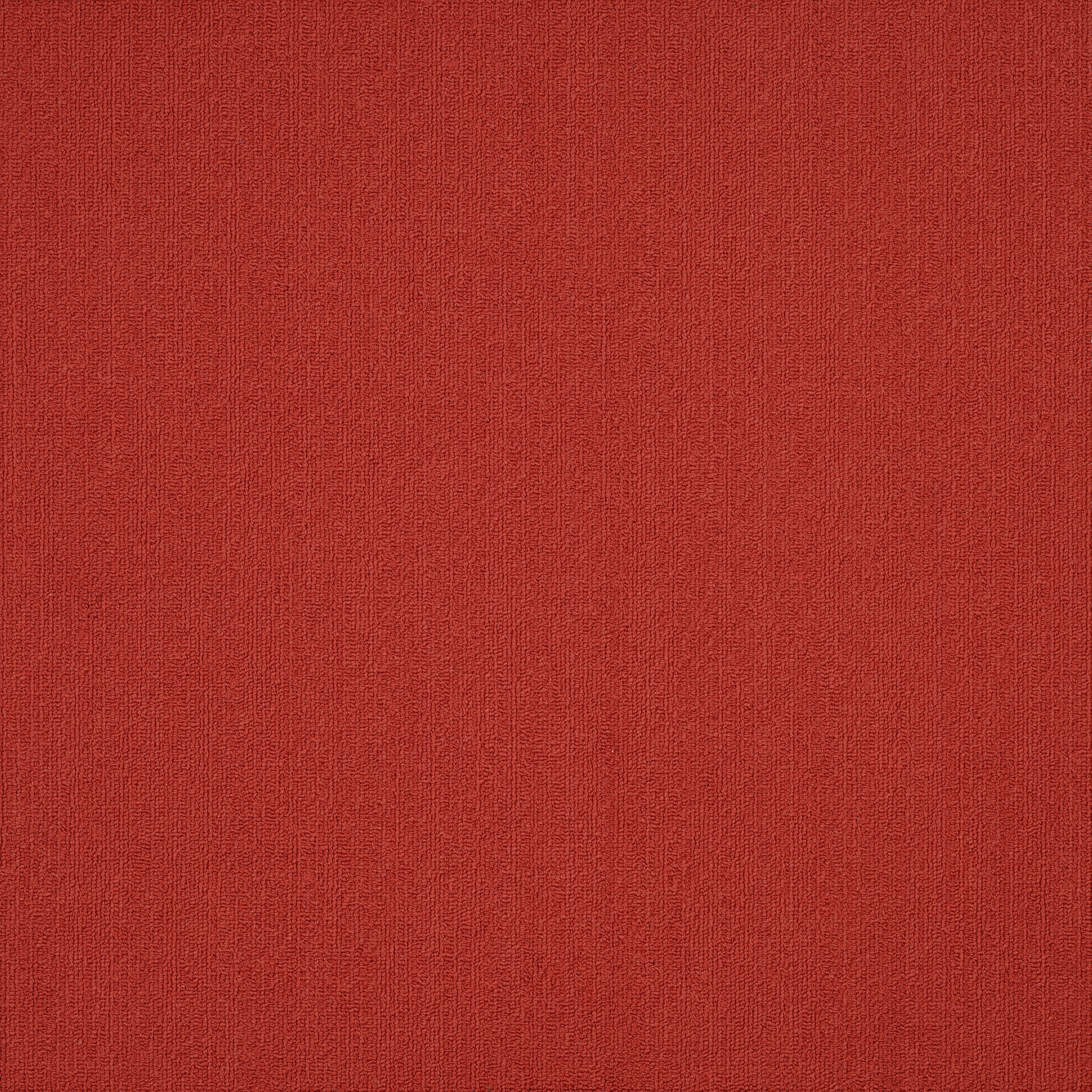 COLOR-ACCENTS-54462-SUNDRIED-62870-main-image