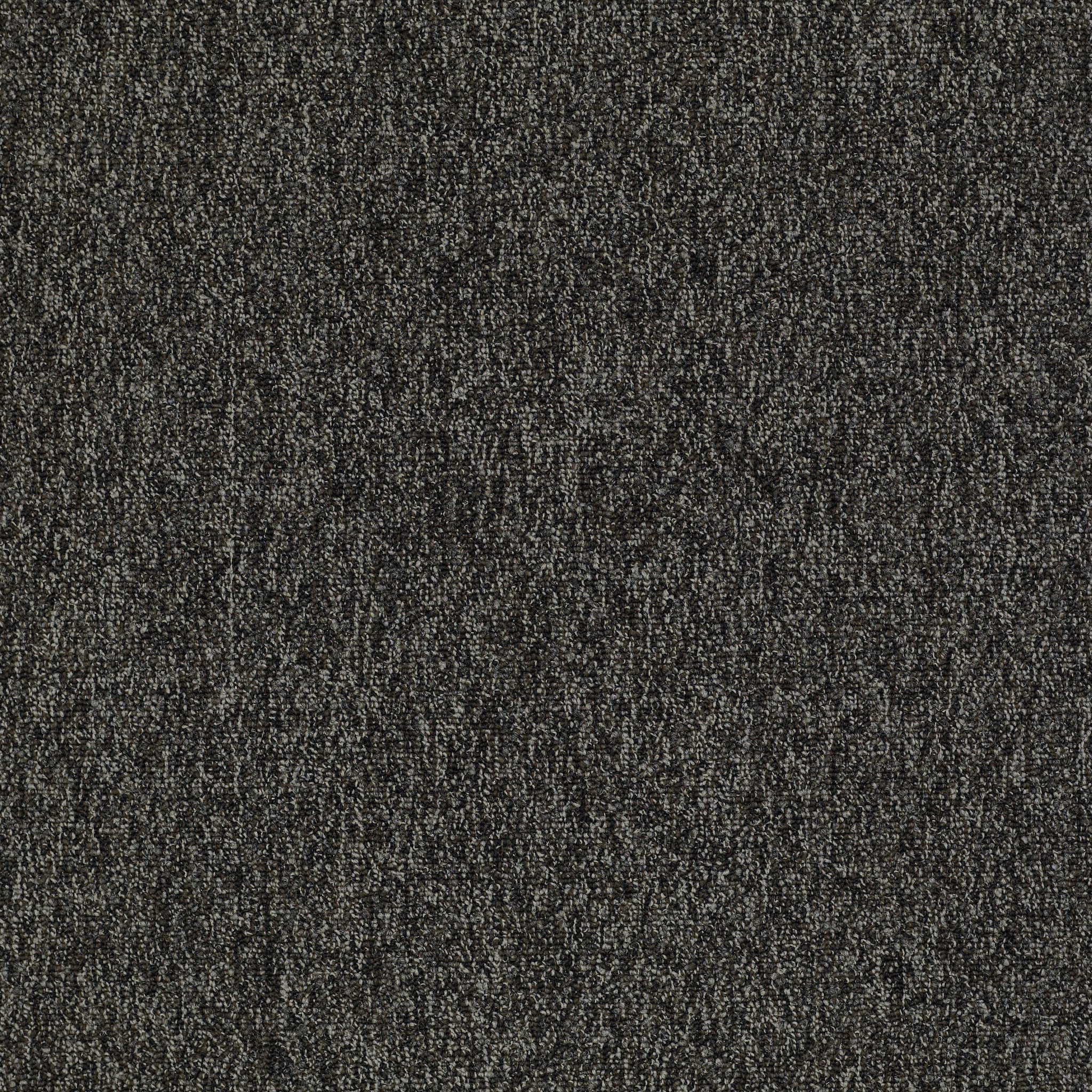 MULTIPLICITY-54593-VOLUME-00710-main-image