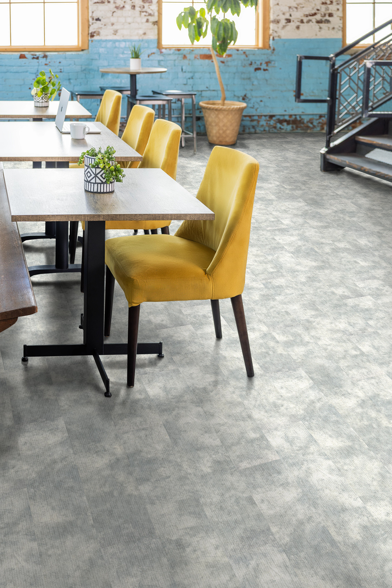 CODEX-5609V-ENIGMA-00364-room-image