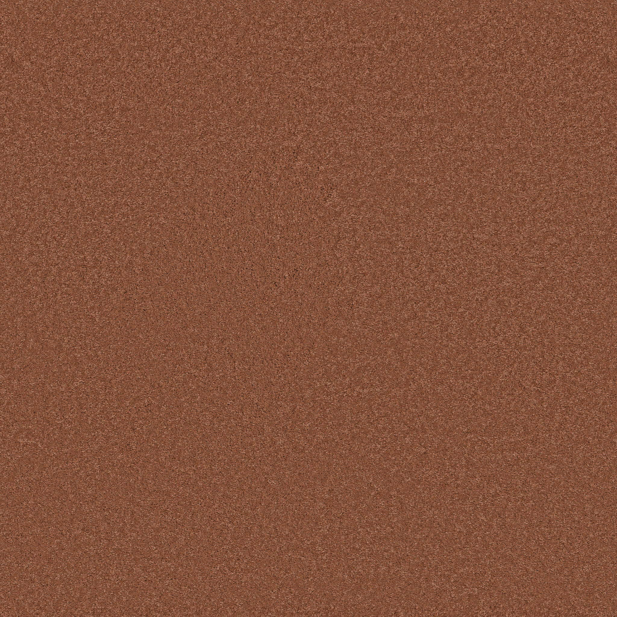 ELEGANT BEAUTY CLAY MAIN