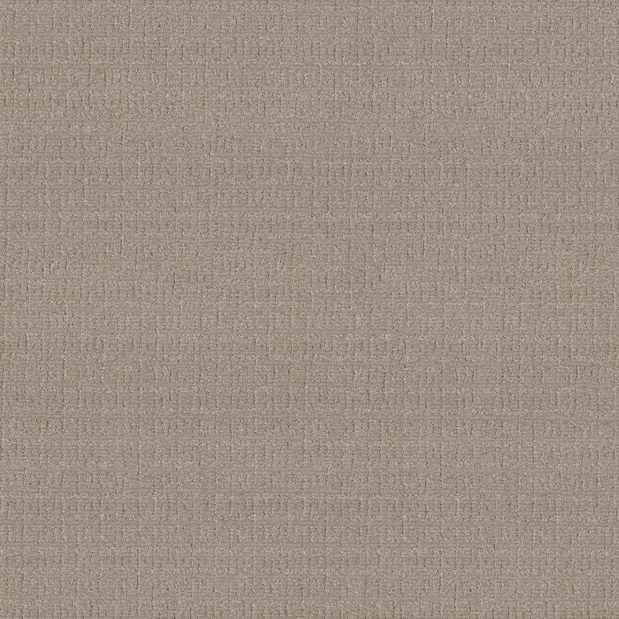 VIGNETTE GREIGE MAIN