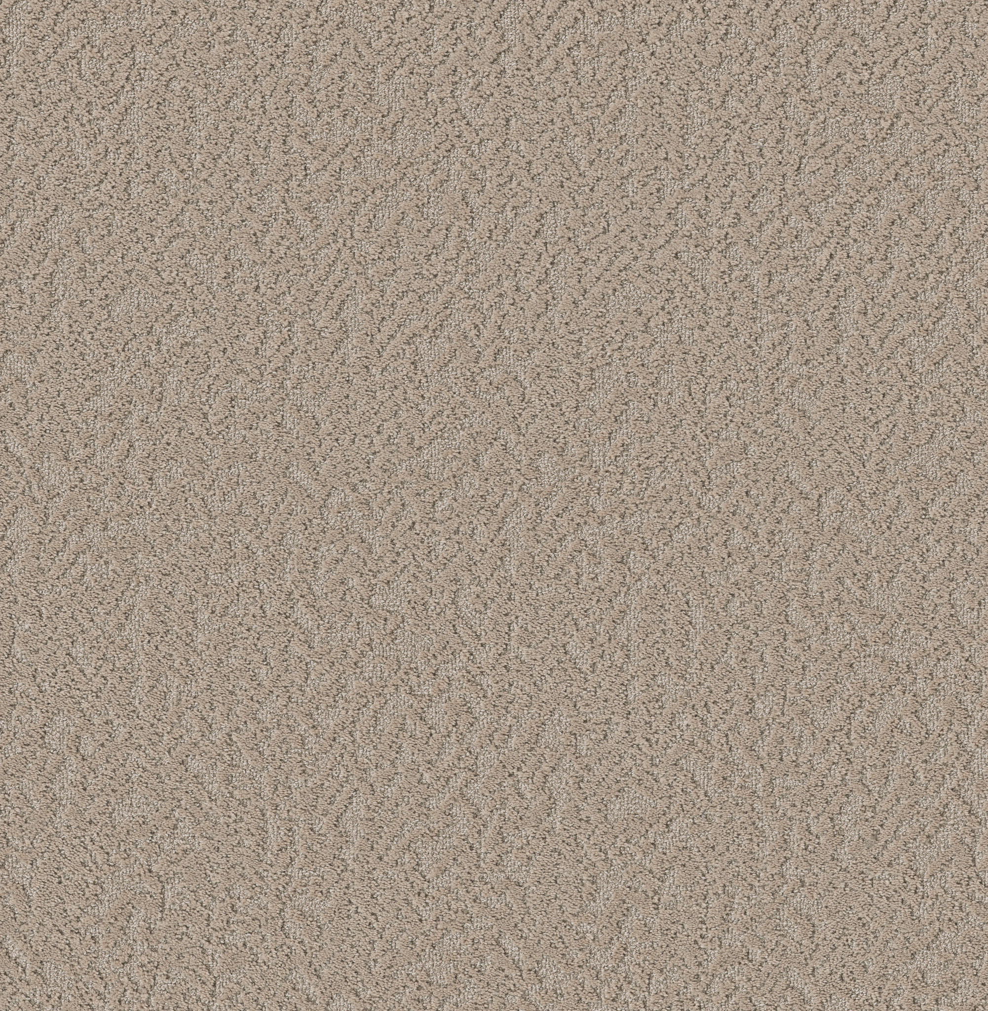 JOYFUL SPIRIT PICNIC MAIN