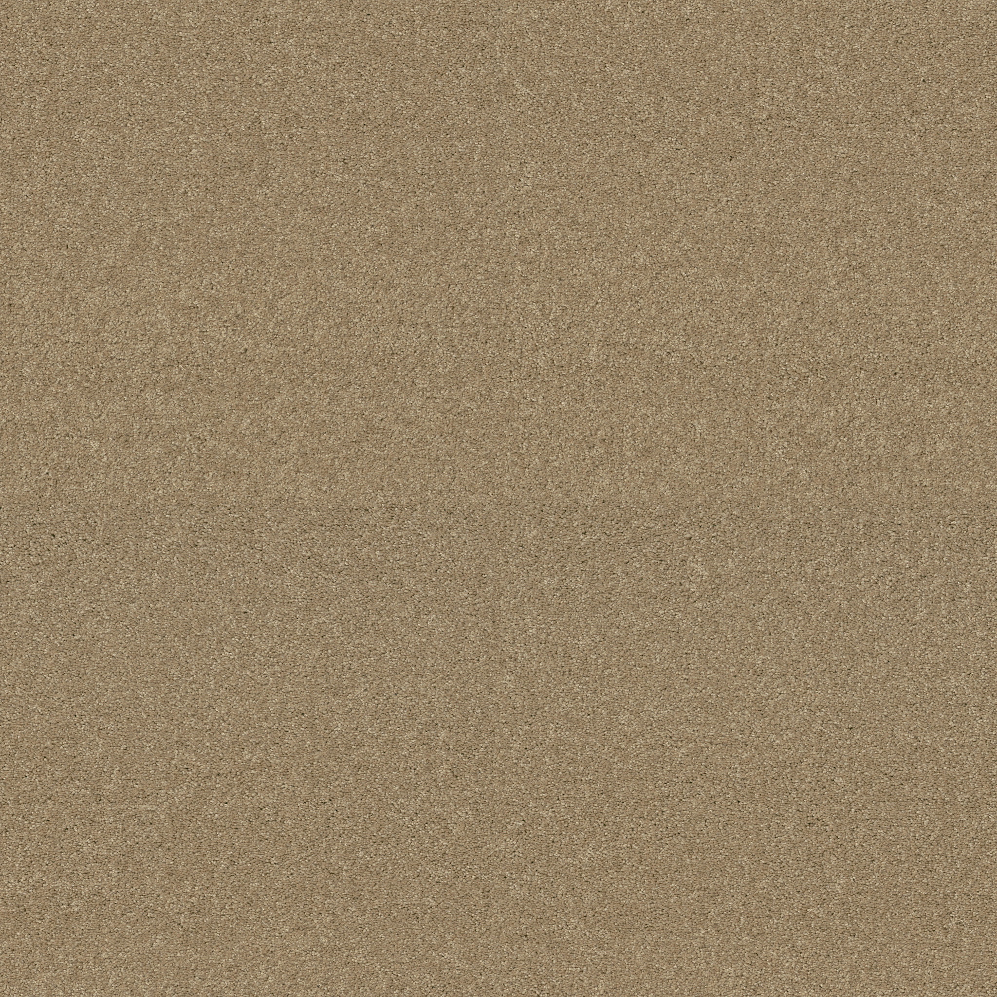 BEAUTIFULLY SIMPLE OAKWOOD MAIN