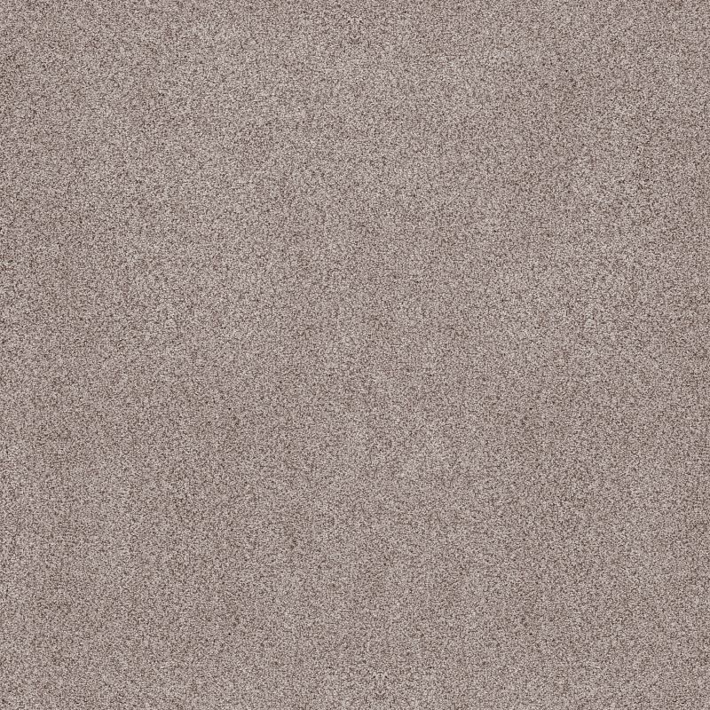 Sumptuous I ZZ323