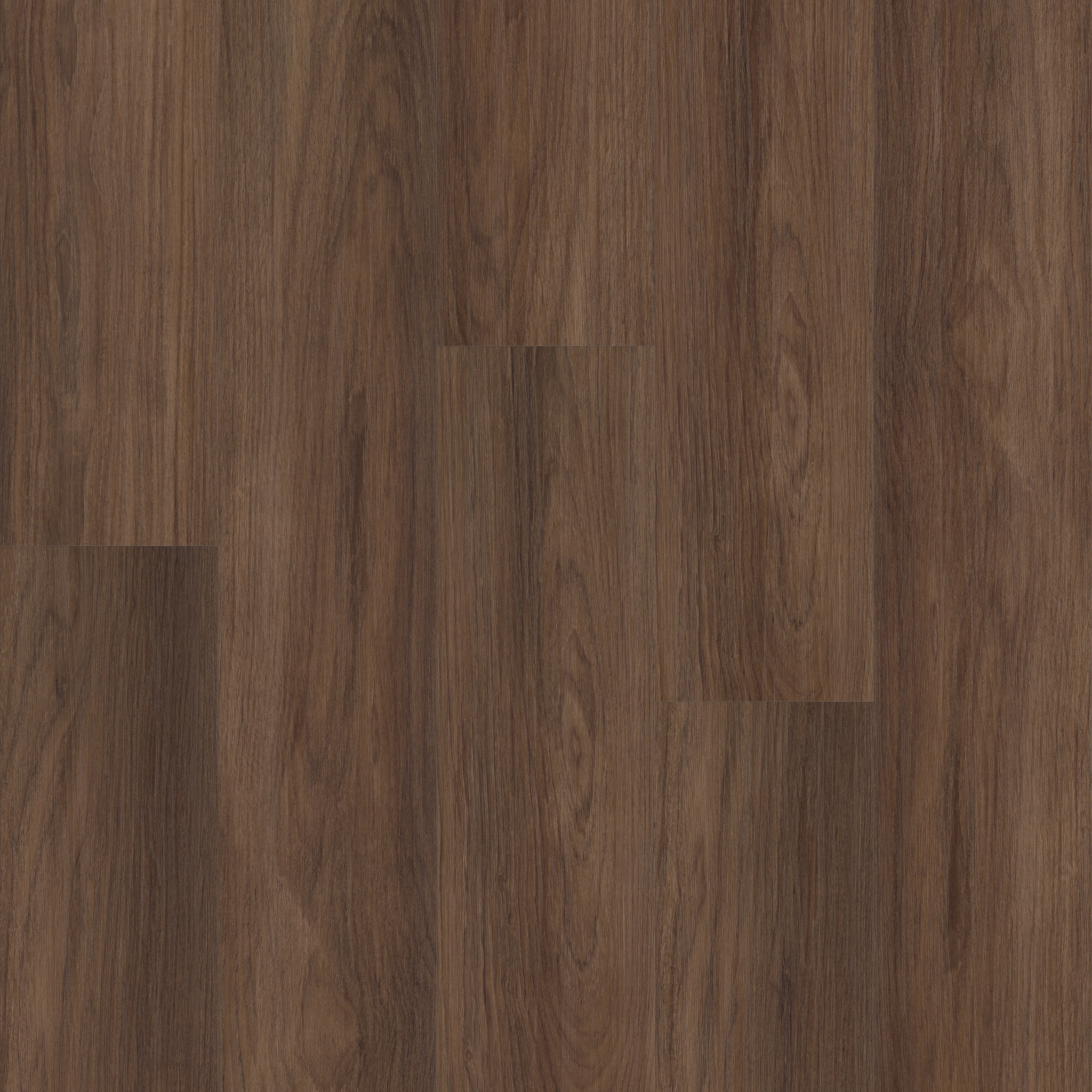 DISTINCTION PLUS BURNT UMBER MAIN