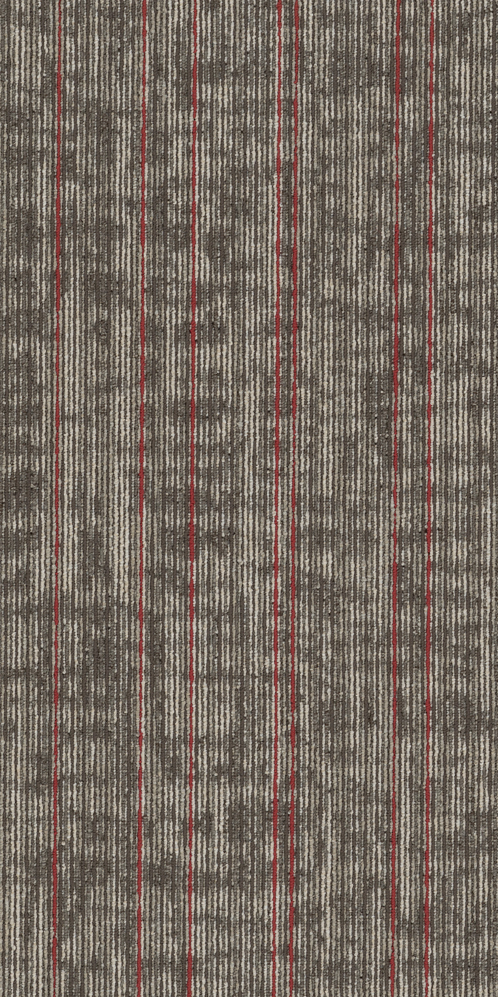 RISE-UP-54997-BOOST-00108-main-image