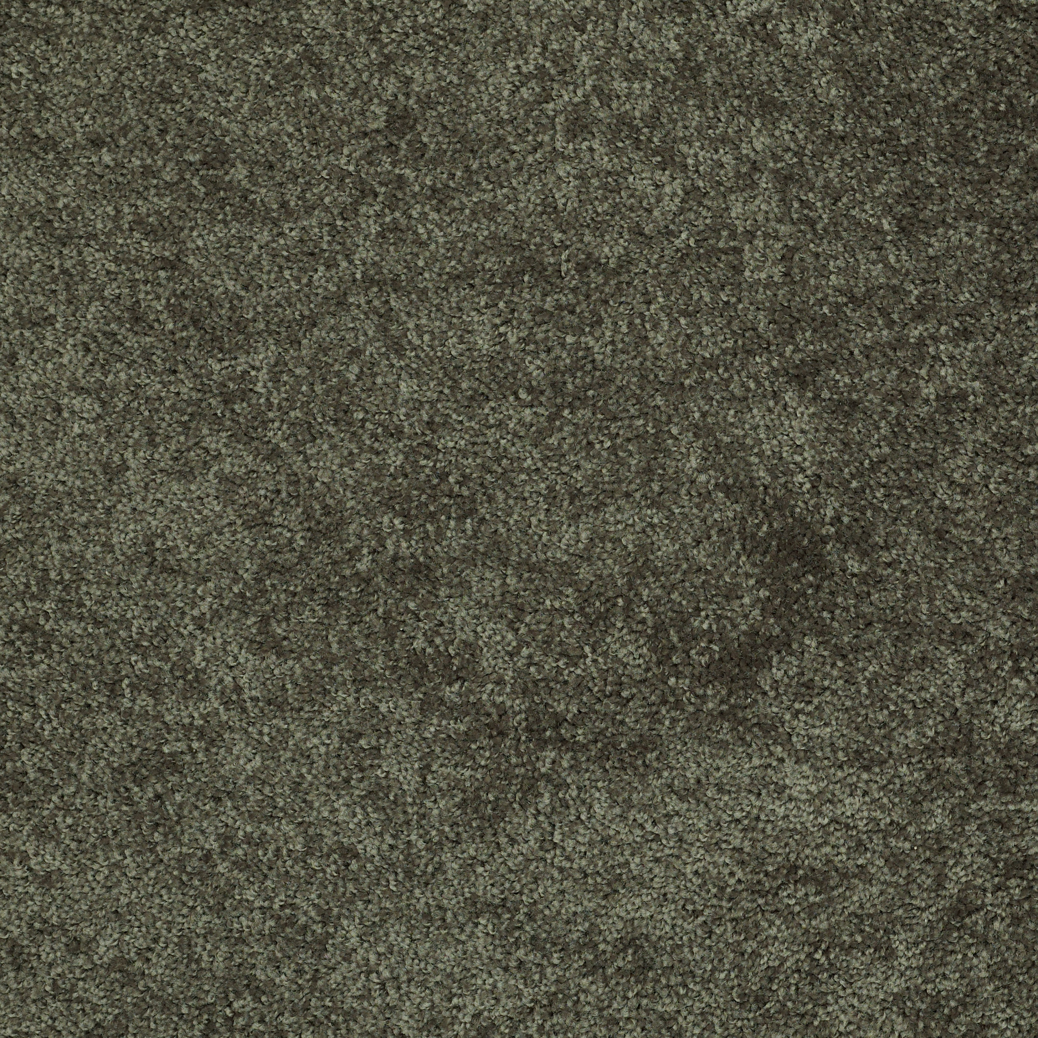 ELLENDALE 12' HEDGES MAIN