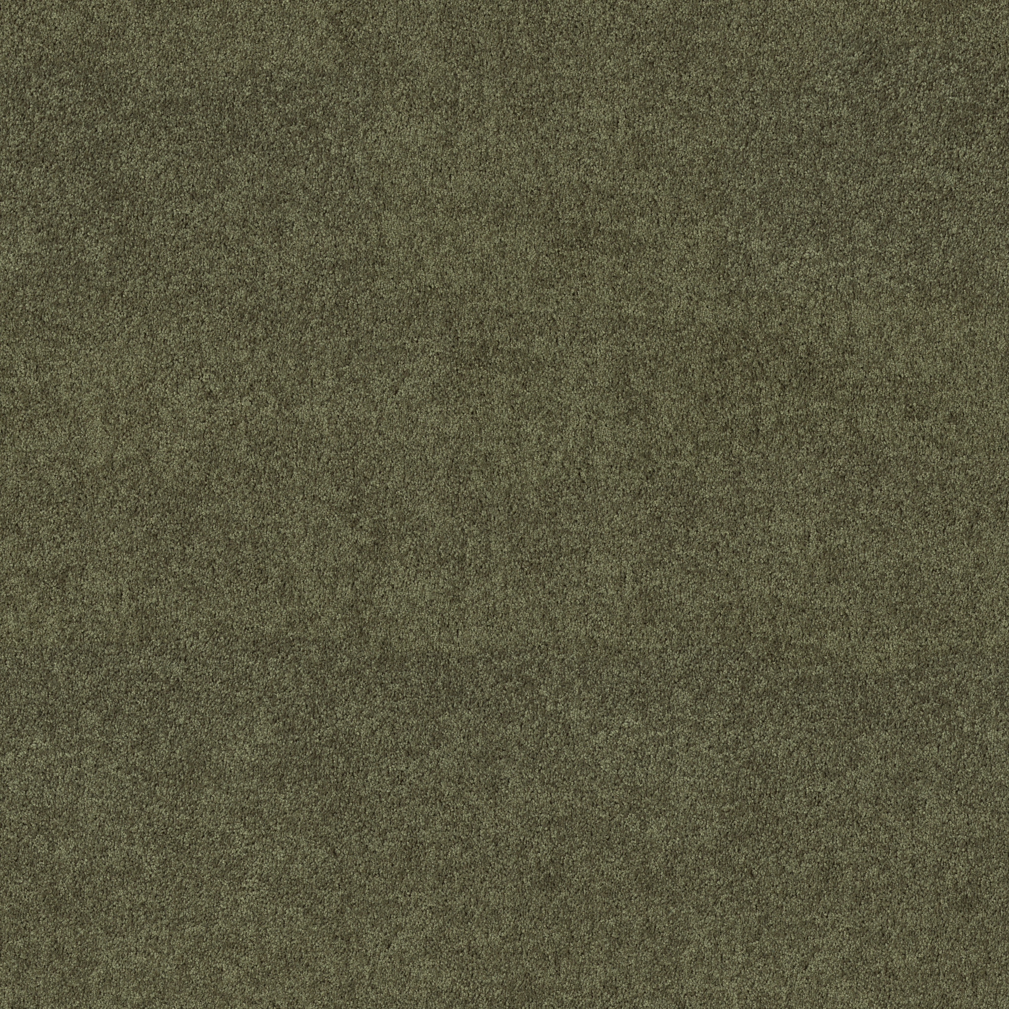 FIELDER'S CHOICE 15' HEDGES MAIN