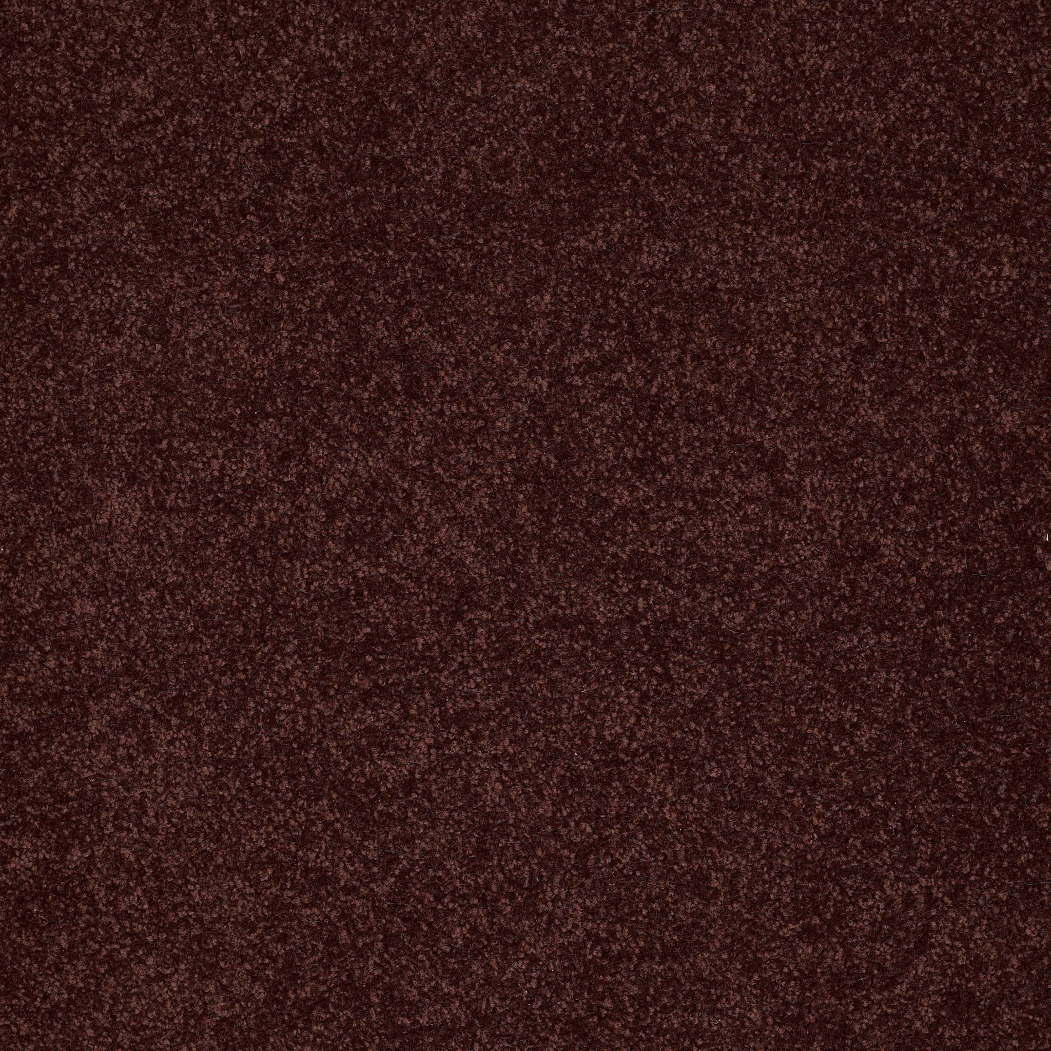 SANDY HOLLOW CLASSIC IV 12' ROUGE RED MAIN