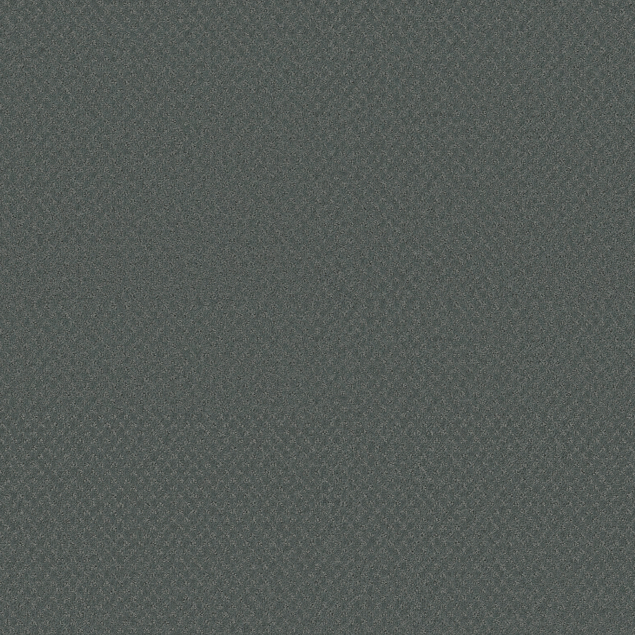 DEL VISTA TIDAL MAIN