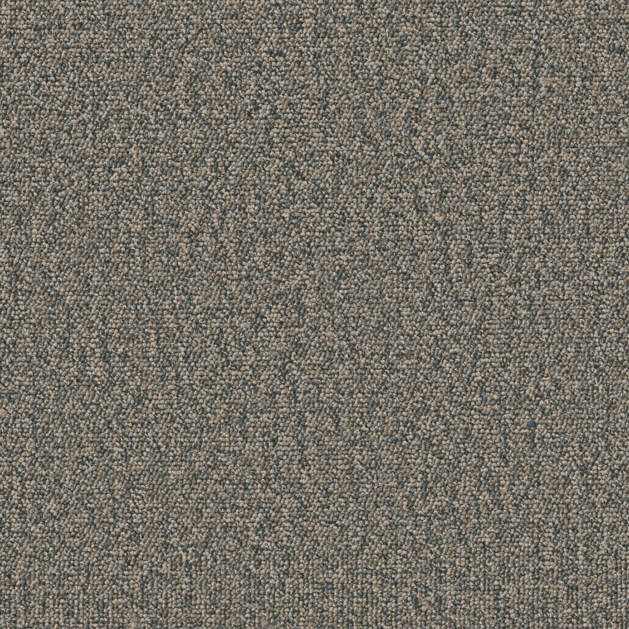 AVENUE-54989-WASHINGTON-00504-main-image