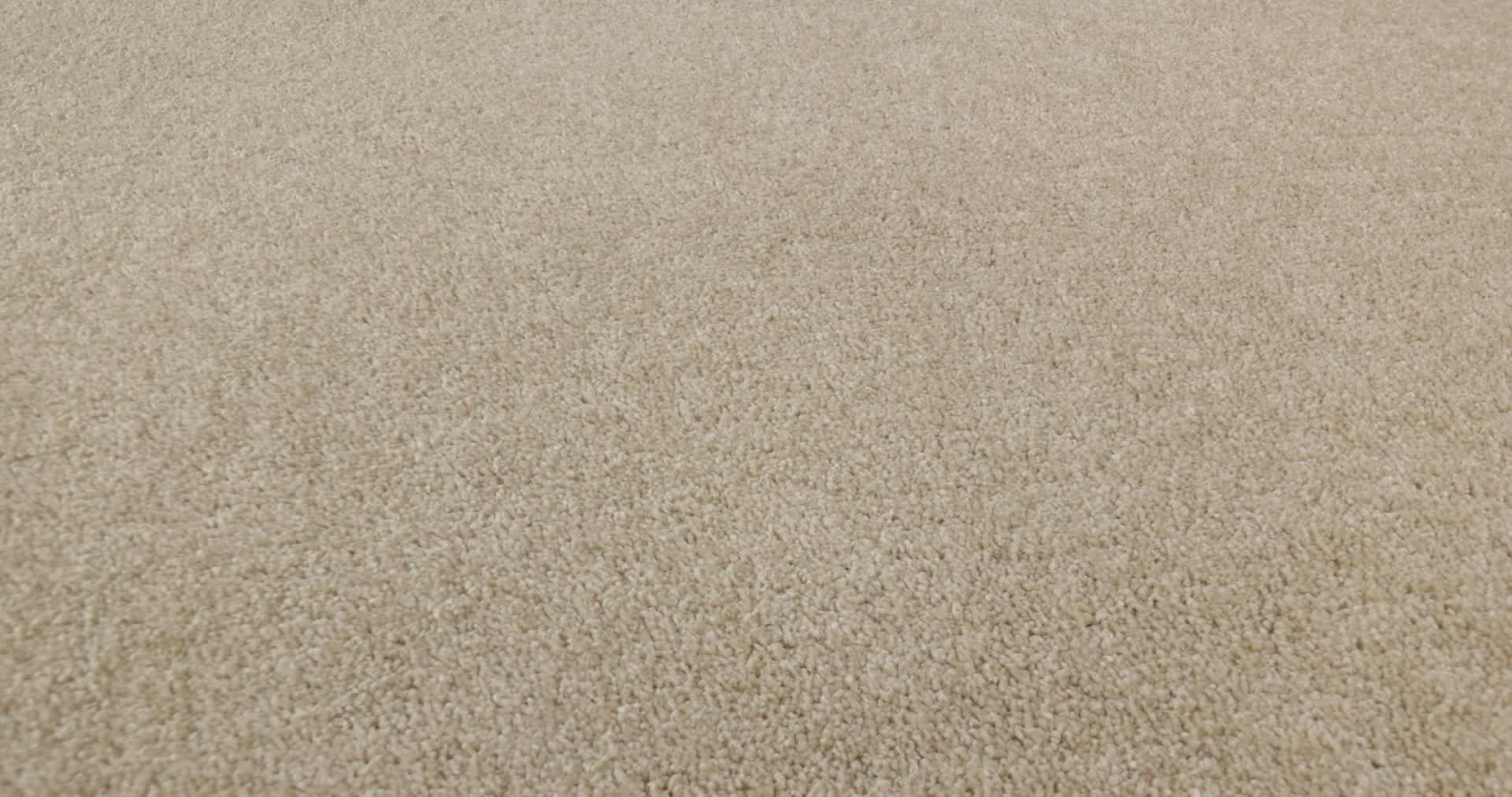 BASIC RULES EGGSHELL 360PROD