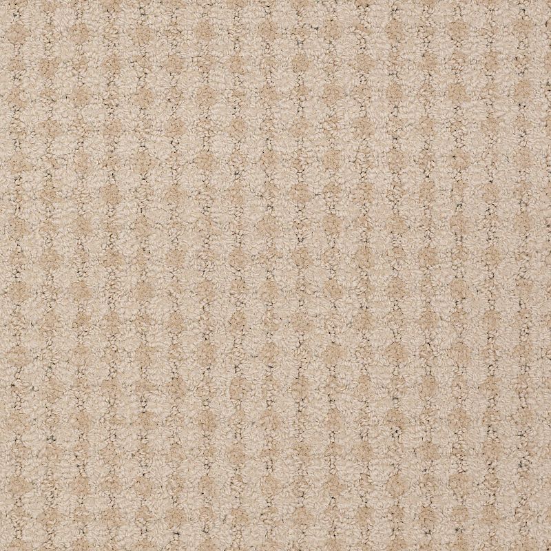 Metro Life 54411 Broadloom Carpet in Museum School color, 12ft width, 100% nylon material