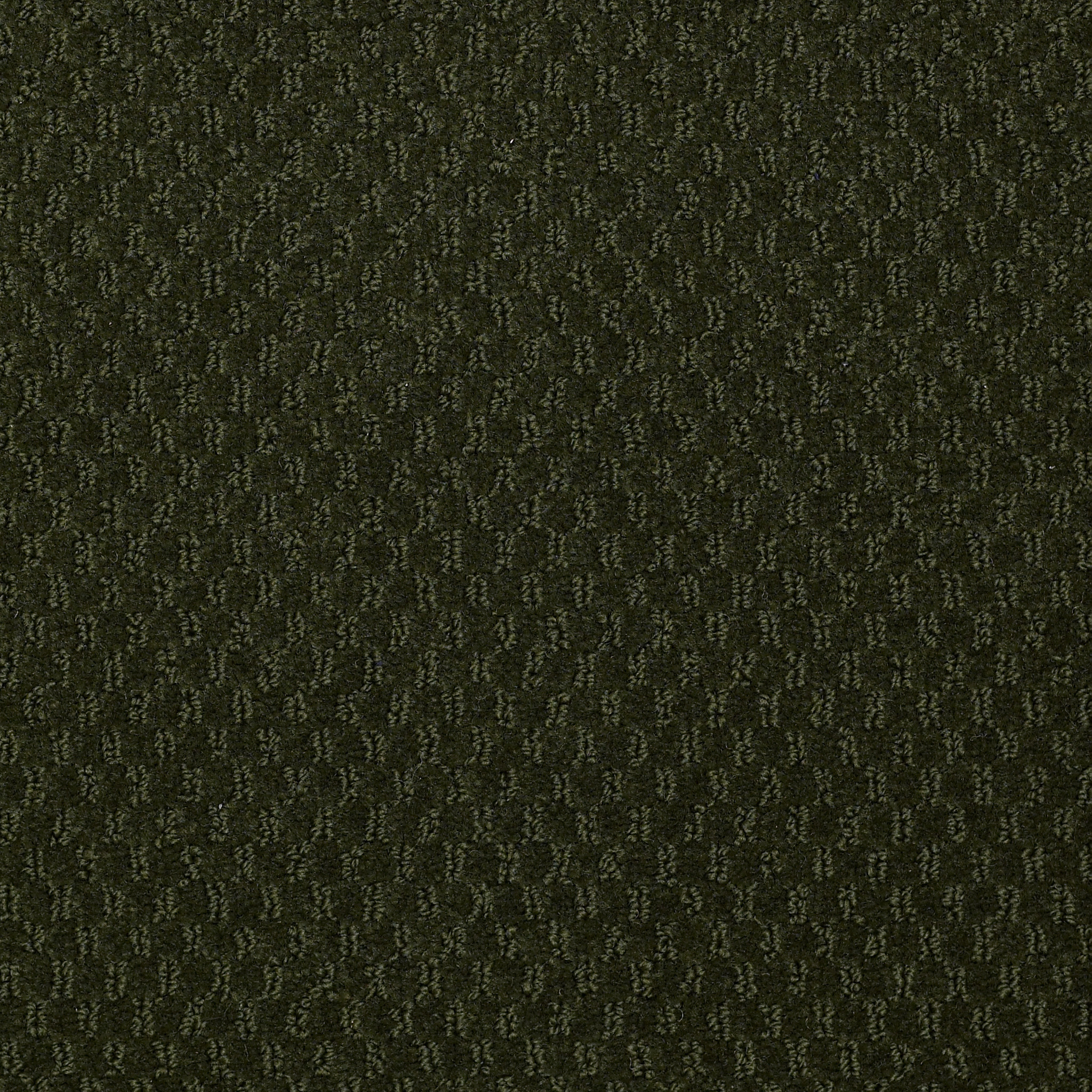 ELEMENTS-Q0421-TALL-EVERGREEN-21350-main-image