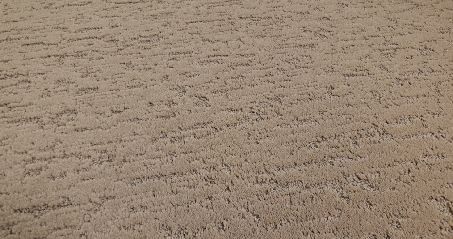 CALM EXPRESSION CANOE 360PROD