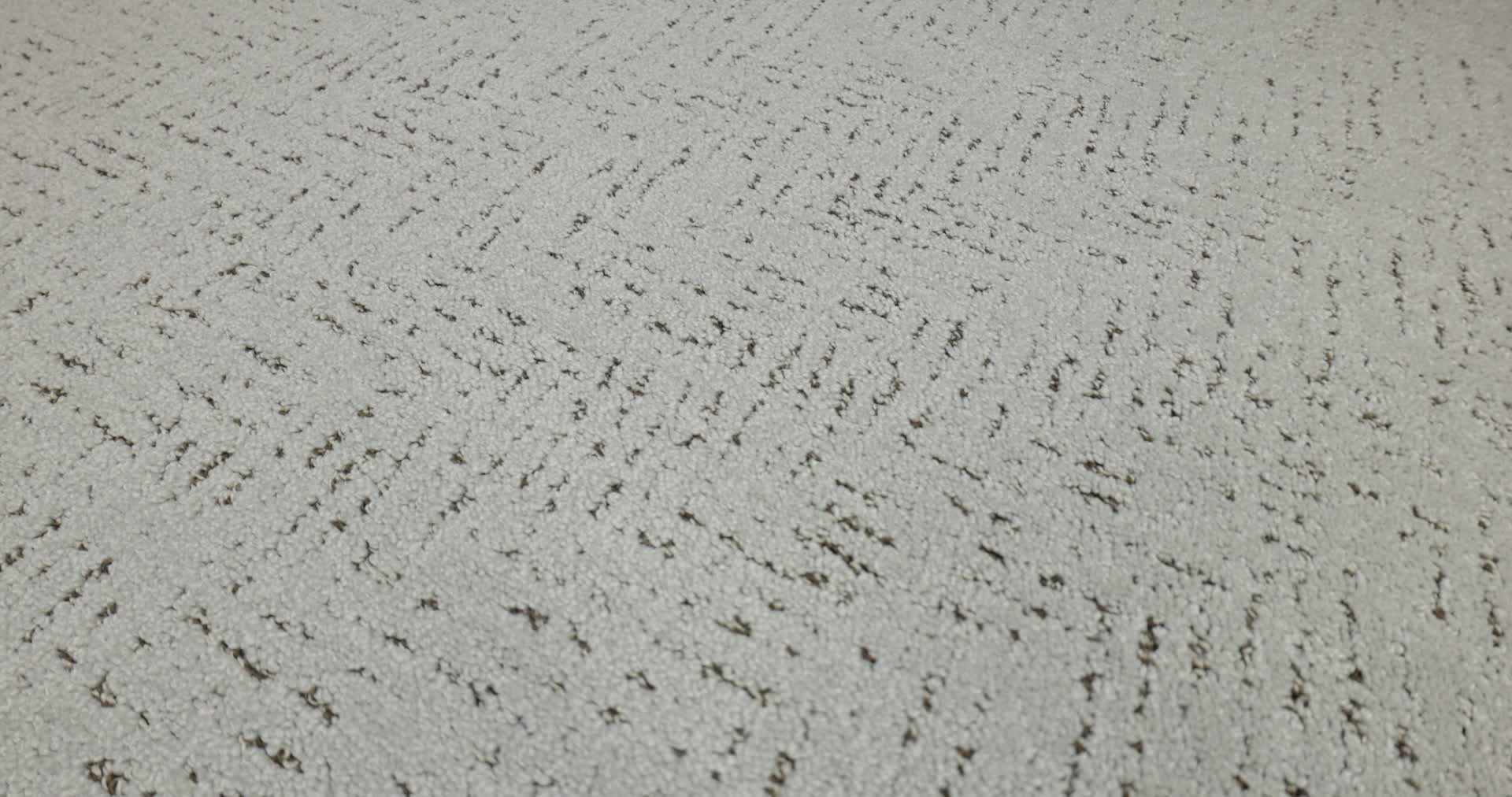 FAVOURED PATH GRAVITY 360PROD