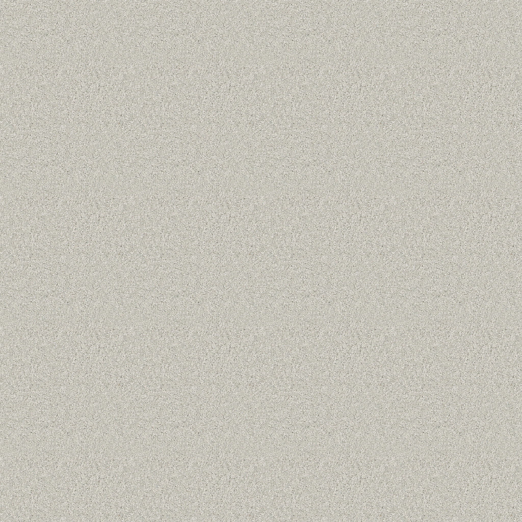 ENDURING CHARM ICY MORN MAIN