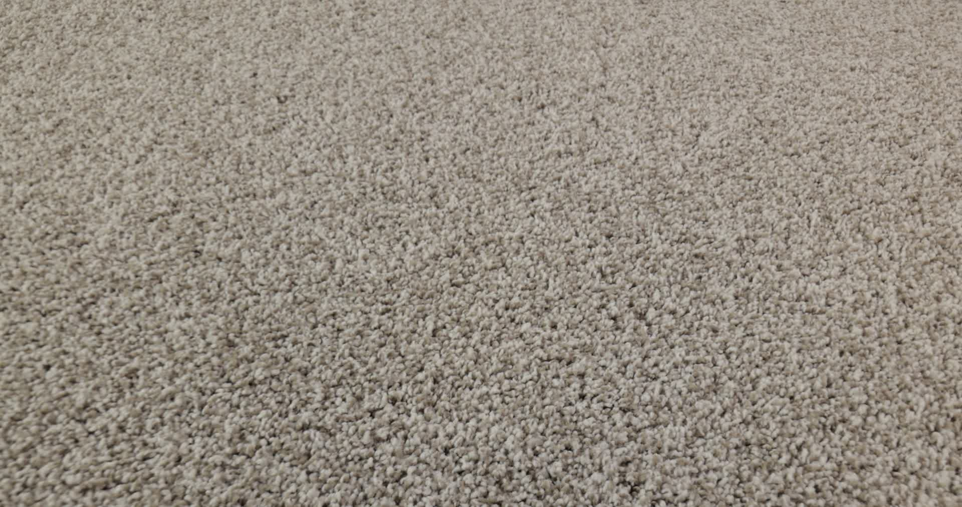 TERRA NOVA MISTY DAWN 360PROD