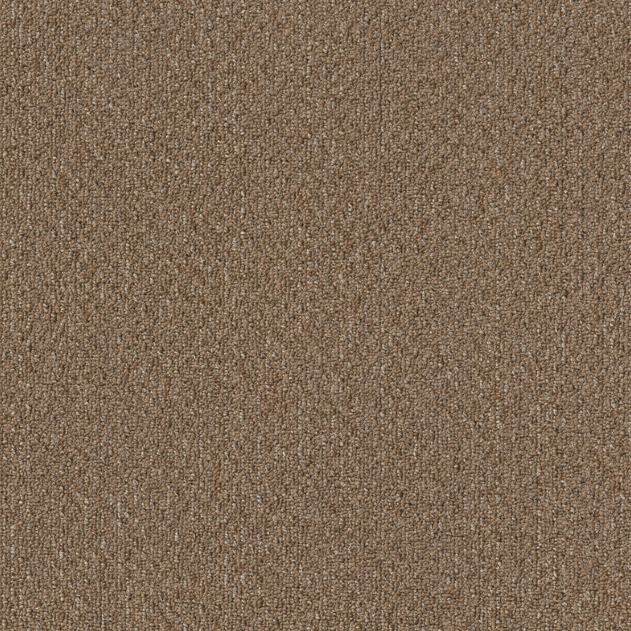 NATURAL-PATH-54636-TREE-HOUSE-00700-main-image