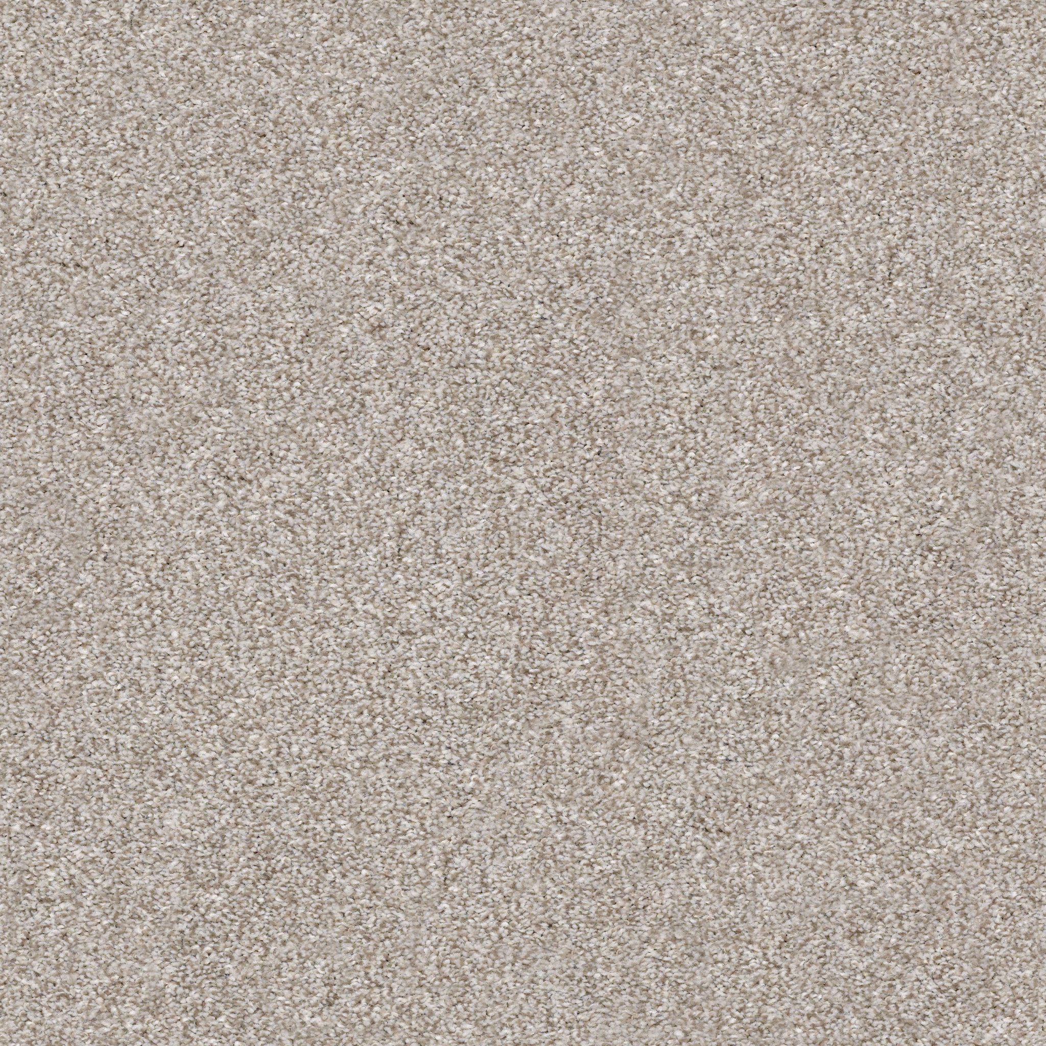 MAKE IT MINE II WINTER DUNES MAIN