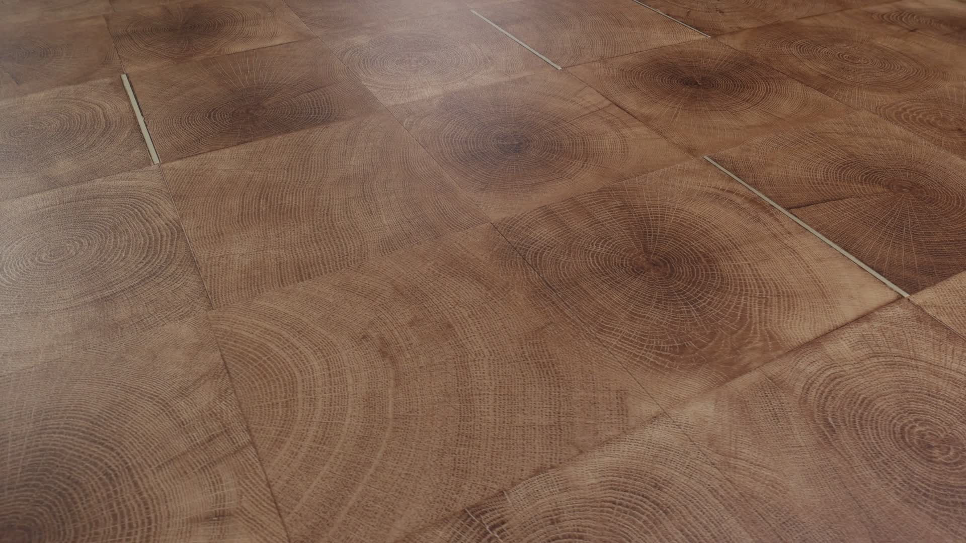 Cut Honey Rotation360