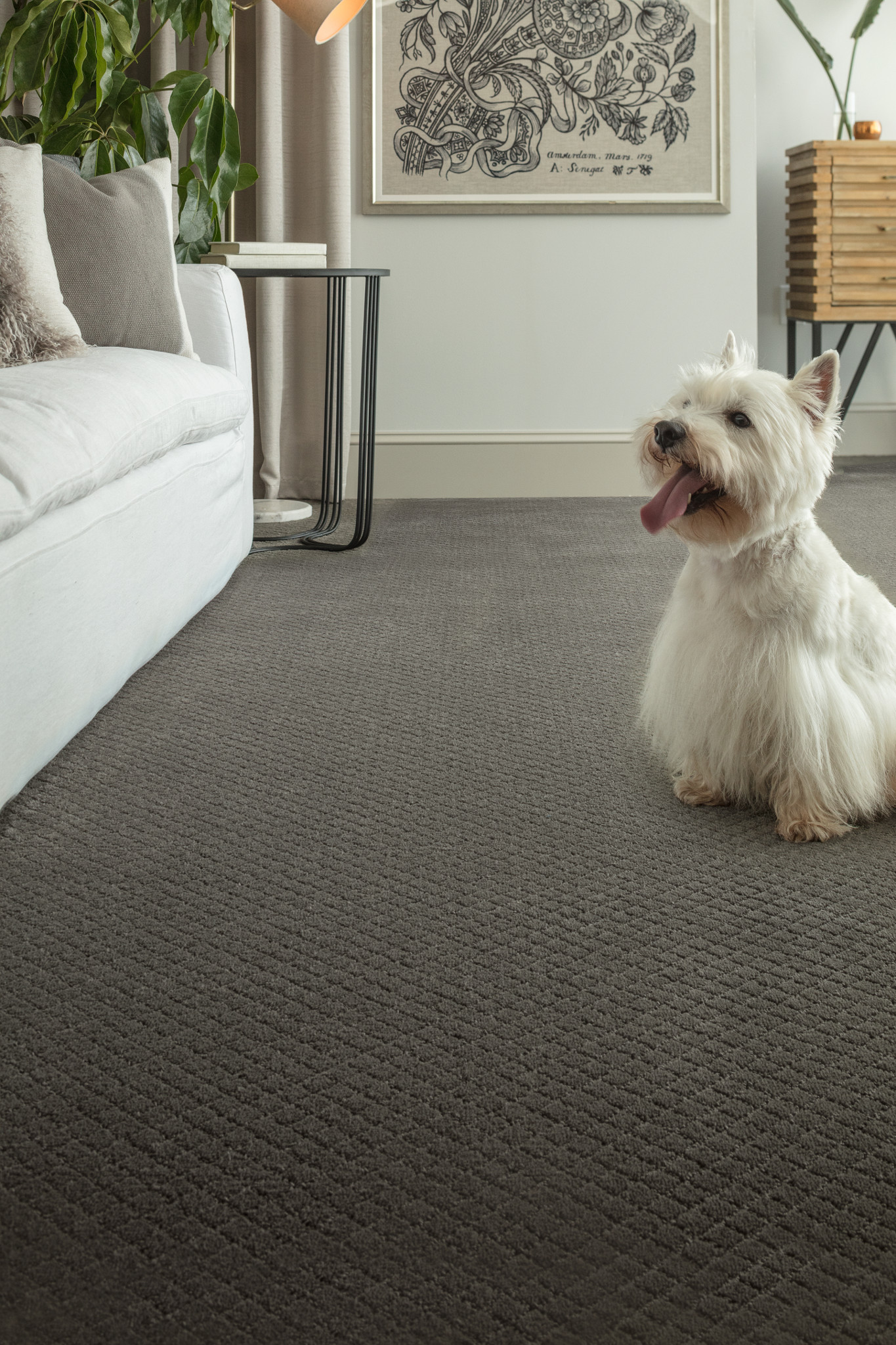 PAWSTRUCK SMOKED OYSTER StaticImage06