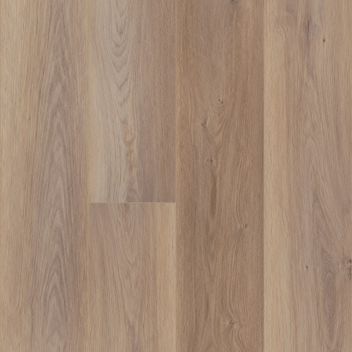 Wiltshire Oak