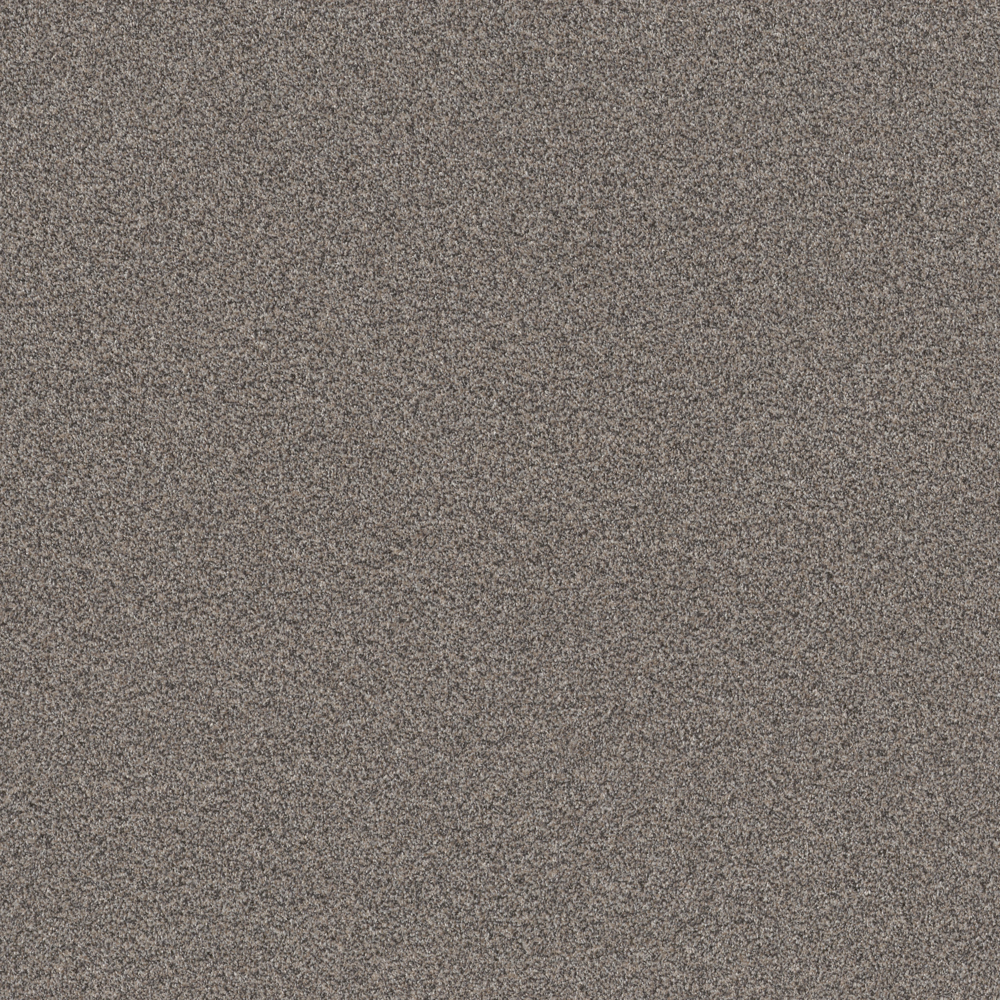 INFLUENCER FOSSIL PATH MAIN