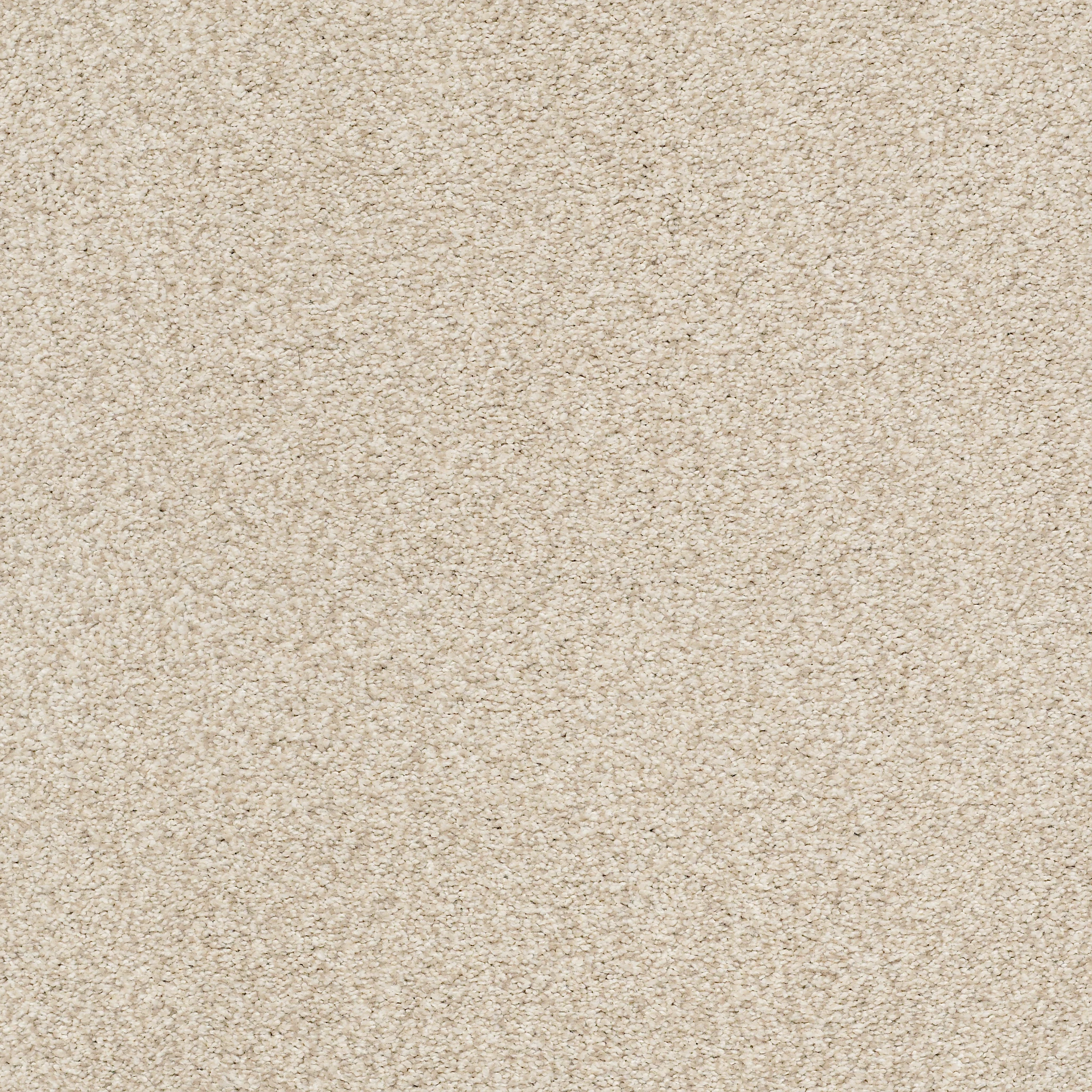 experience-luxurious-comfort-with-happy-place-blue-broadloom-carpet-elevate-your-space-today