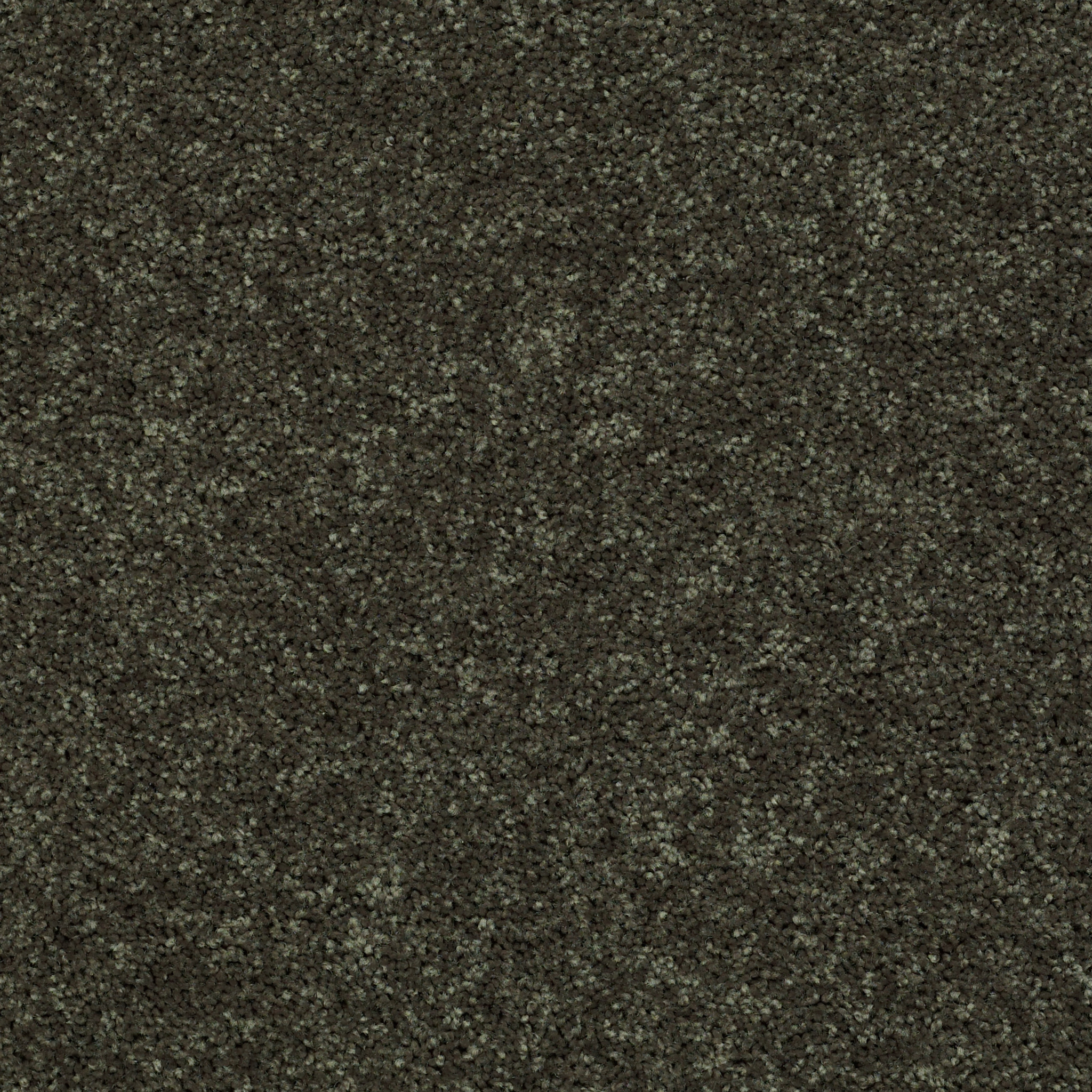 DREXEL HILL III 15 GARDEN GROVE MAIN